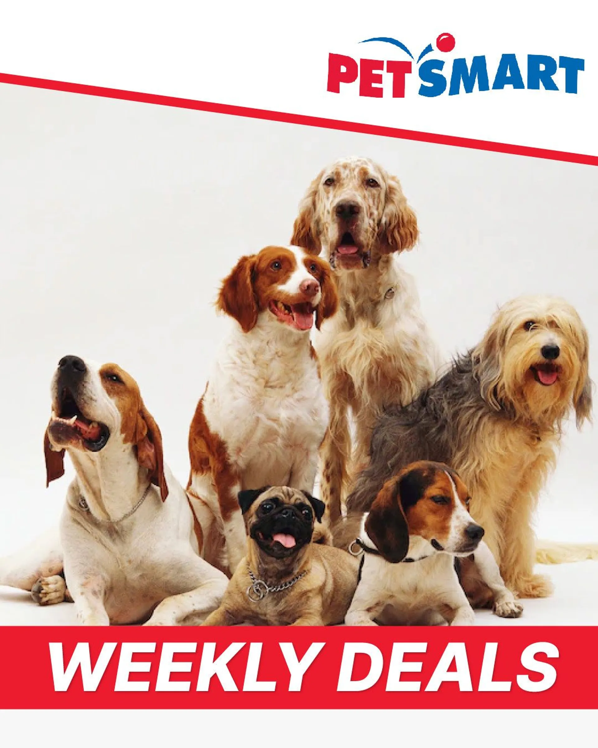 Weekly ad PetSmart - Hot deals from March 29 to April 3 2023 - Page 1