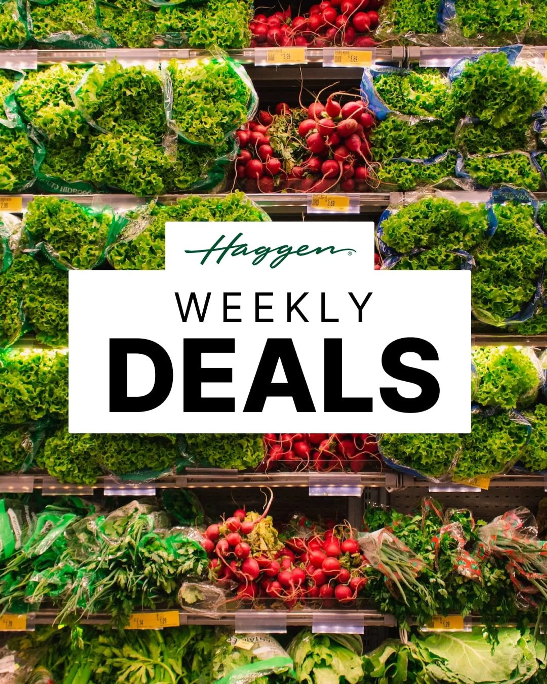 Weekly ad Haggen - Weekly deals from November 29 to December 4 2022 - Page 2