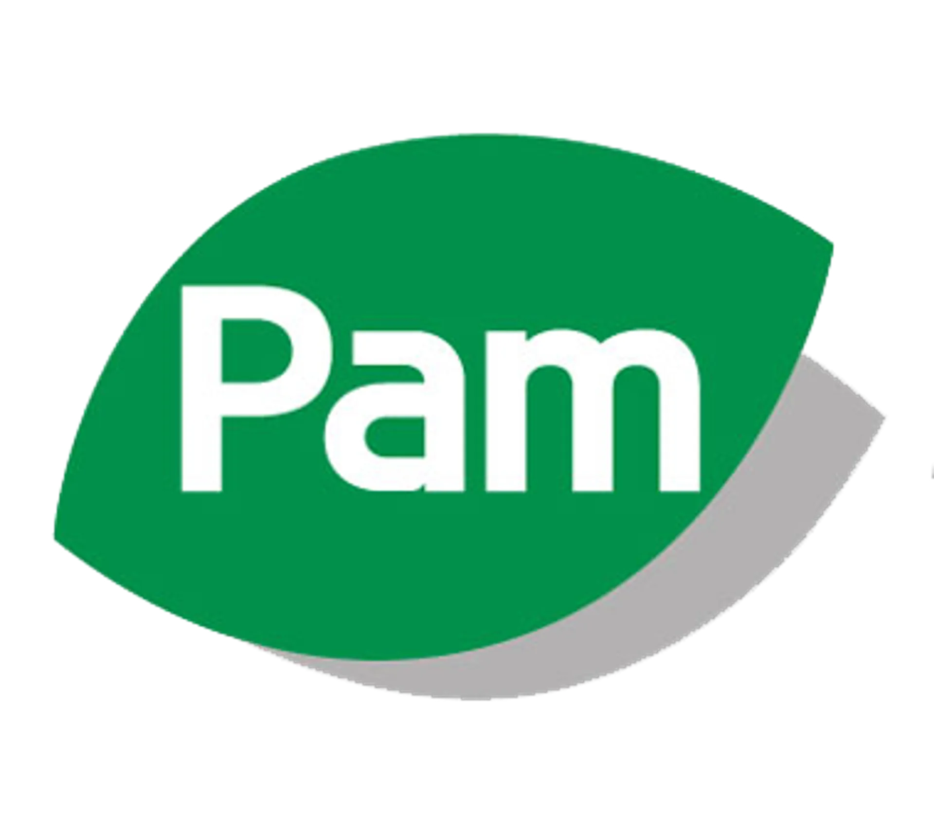 Pam logo del volantino attuale