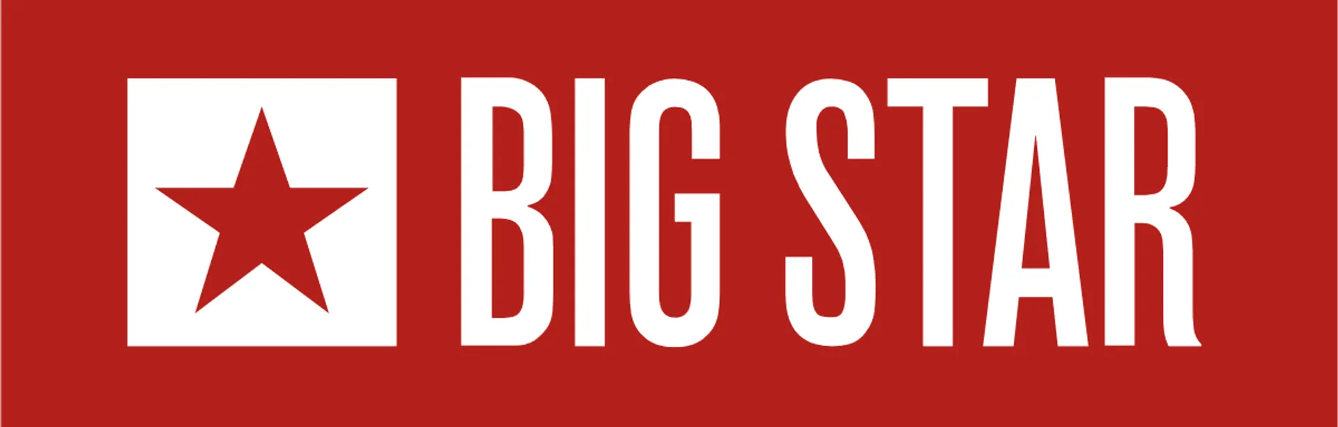 BIG STAR logo