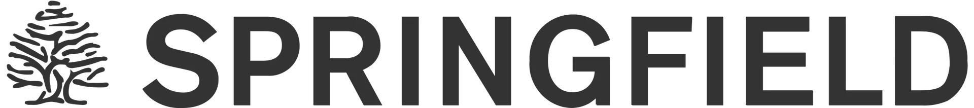 SPRINGFIELD logo du catalogue
