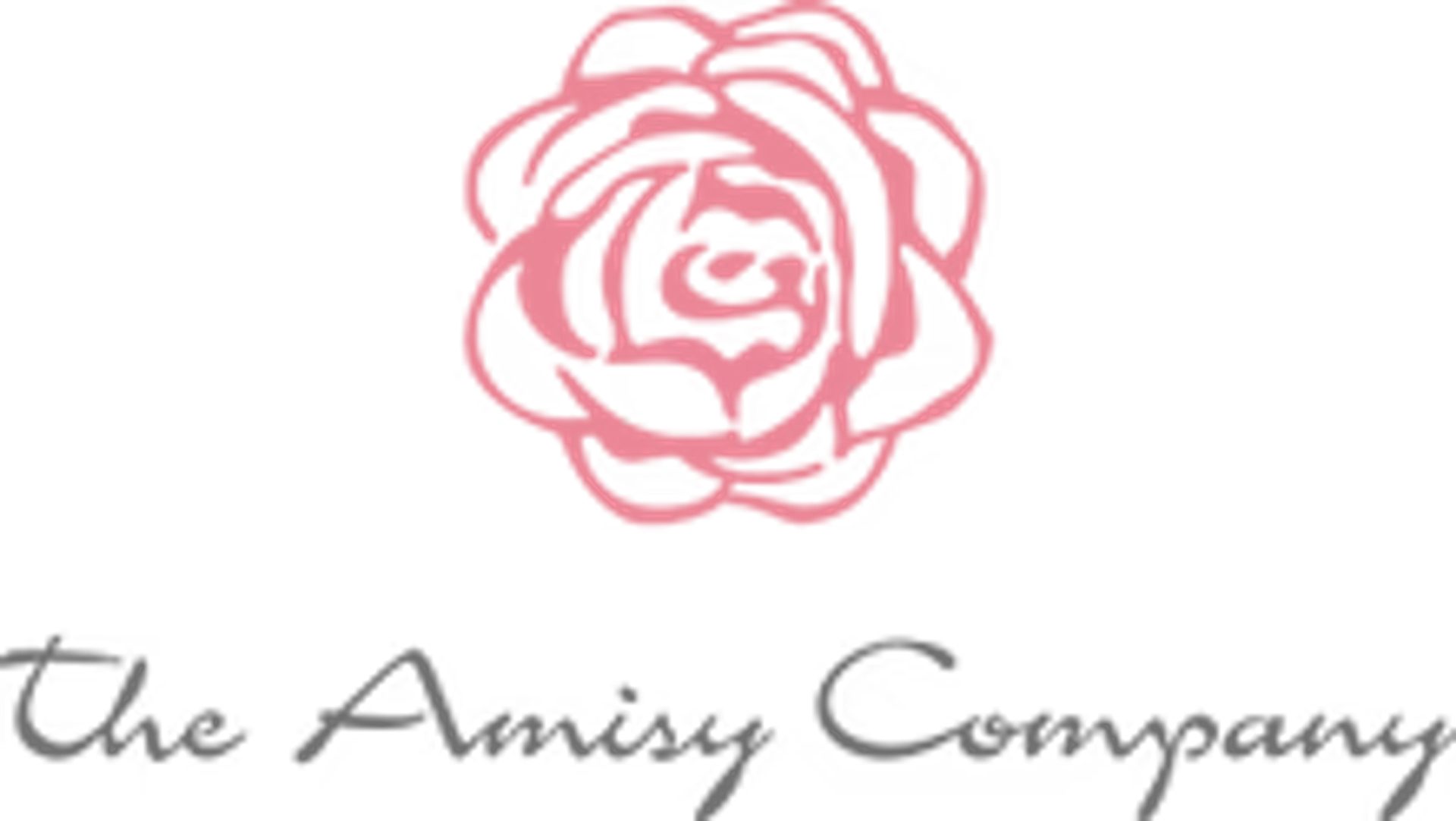 THE AMISY COMPANY logo de catálogo