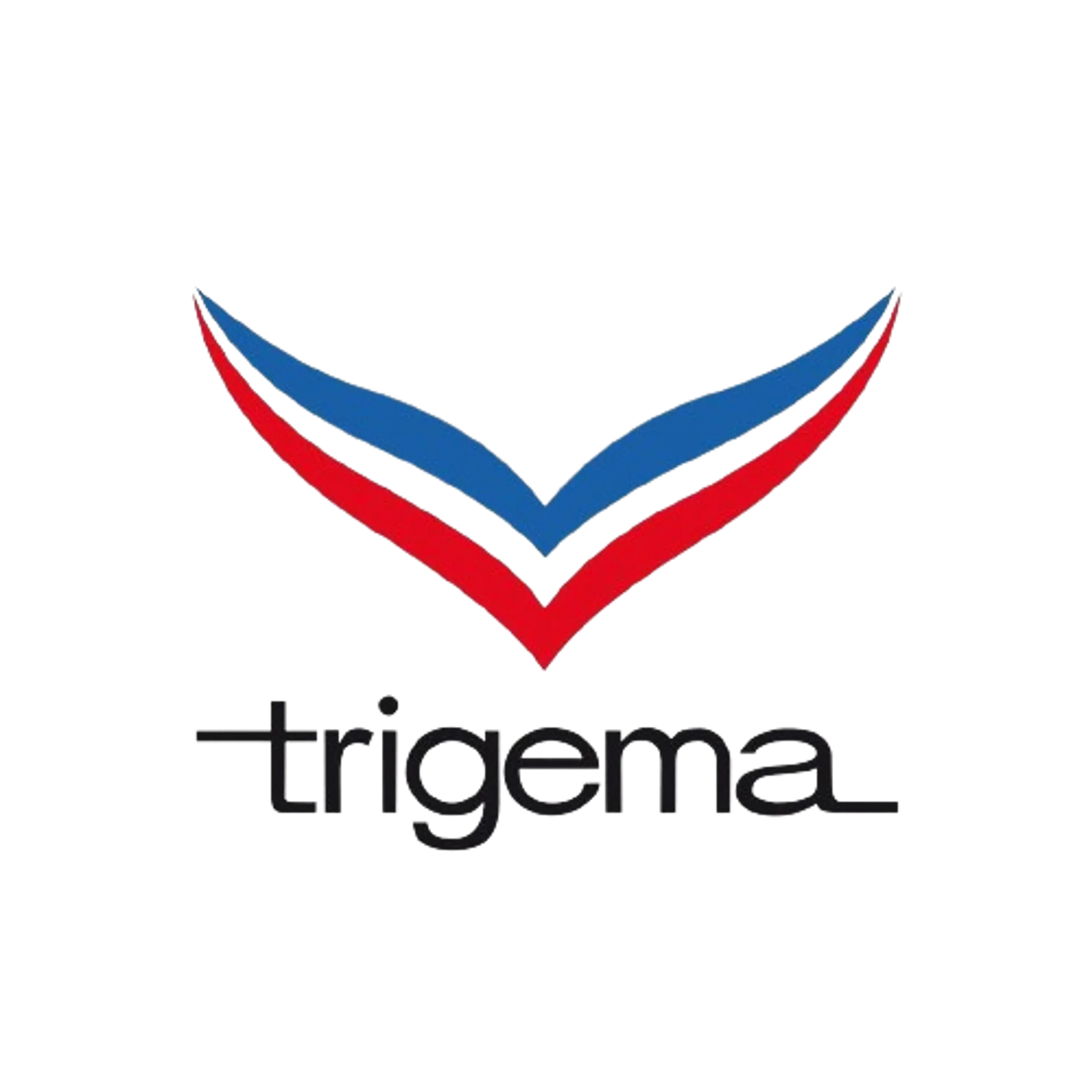 TRIGEMA logo die aktuell Flugblatt