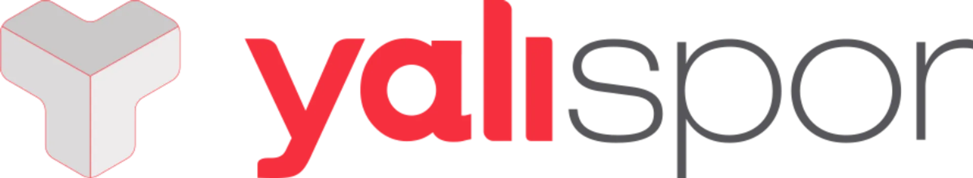 YALI SPOR logo