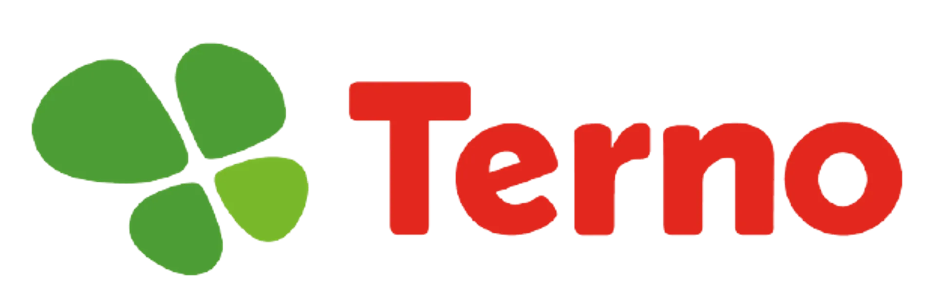 TERNO logo