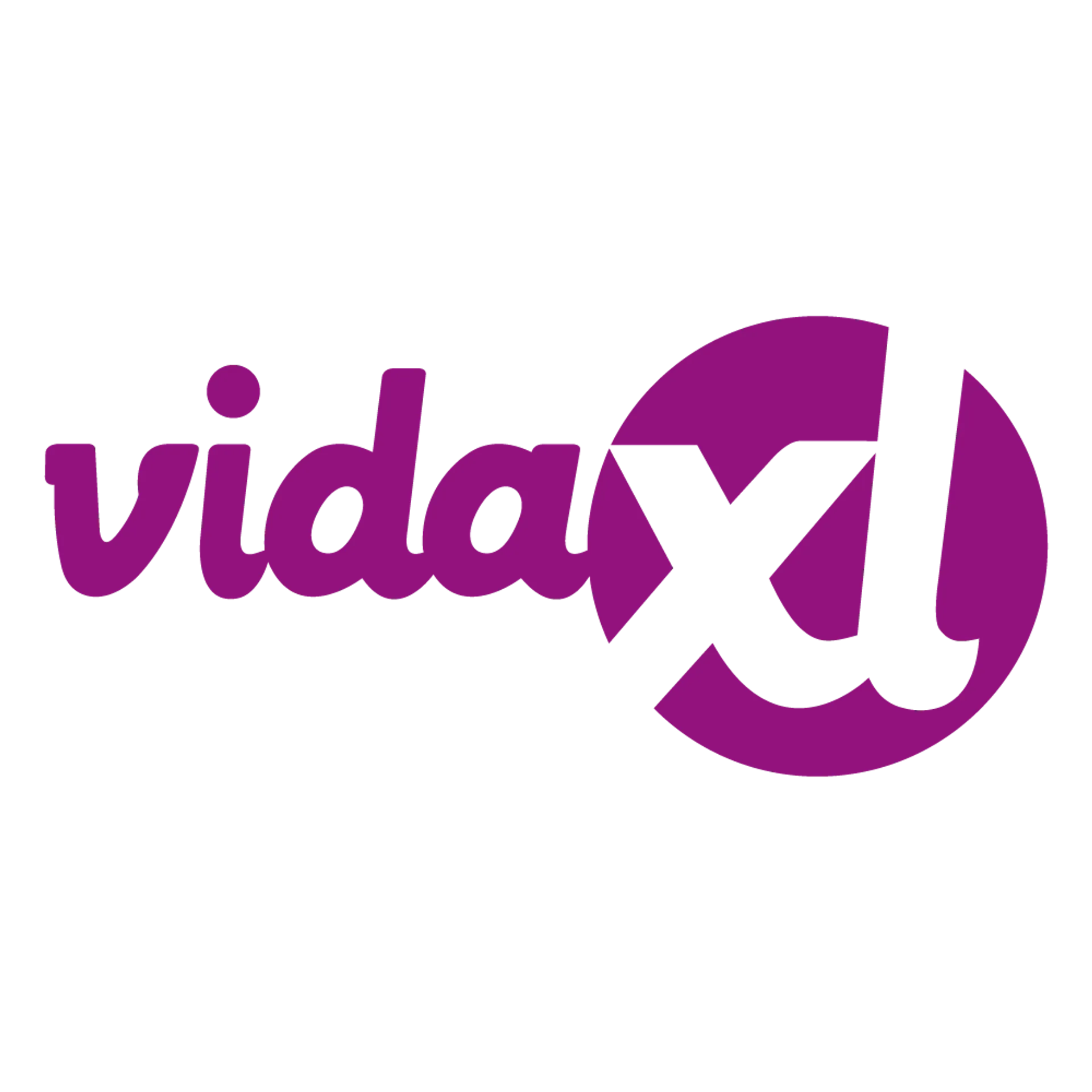 VIDAL XL logo
