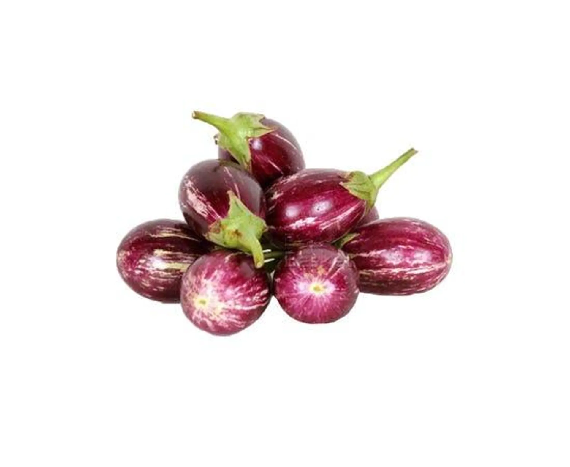 Baby Eggplant - Oman