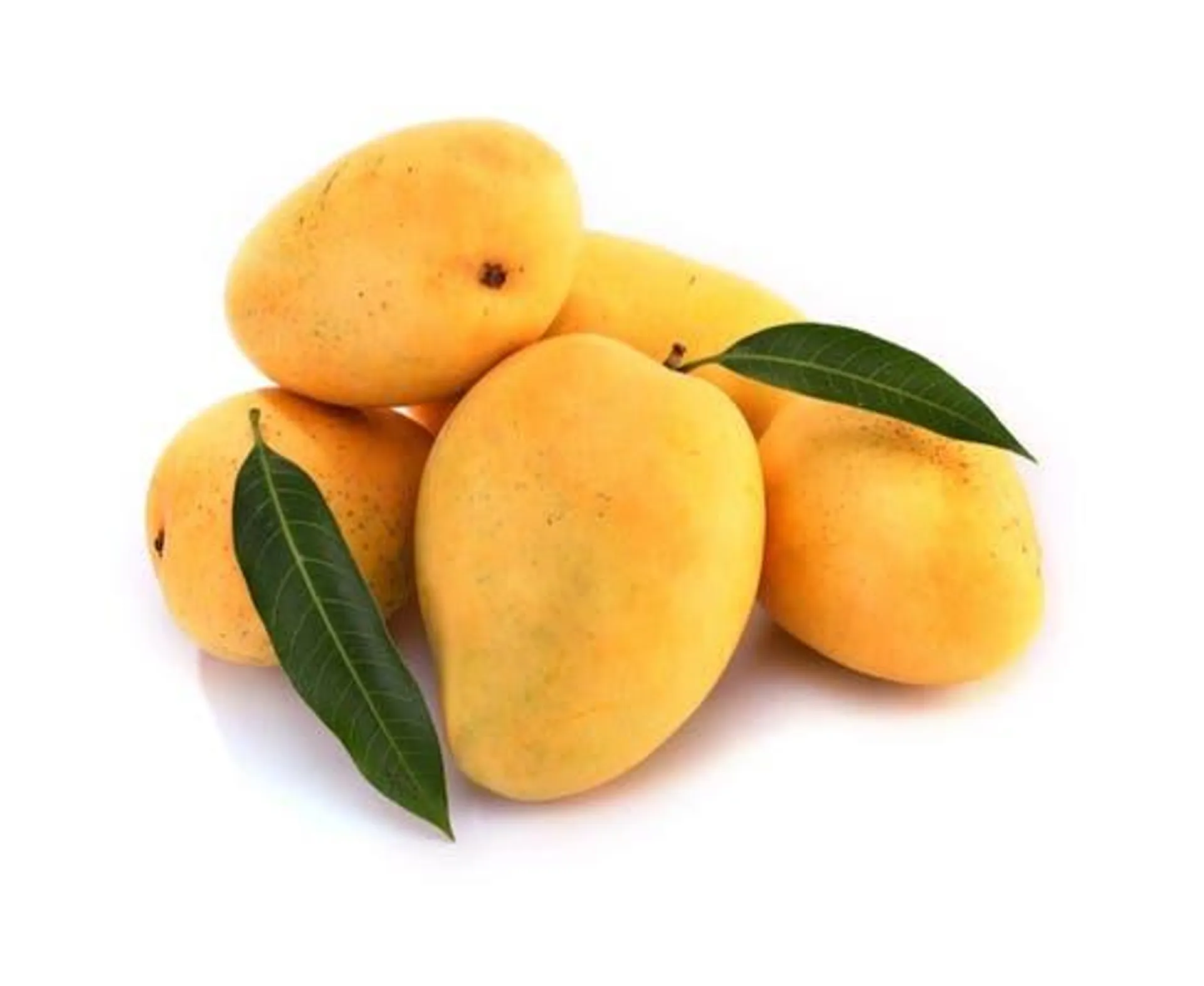 Mango Badami - India