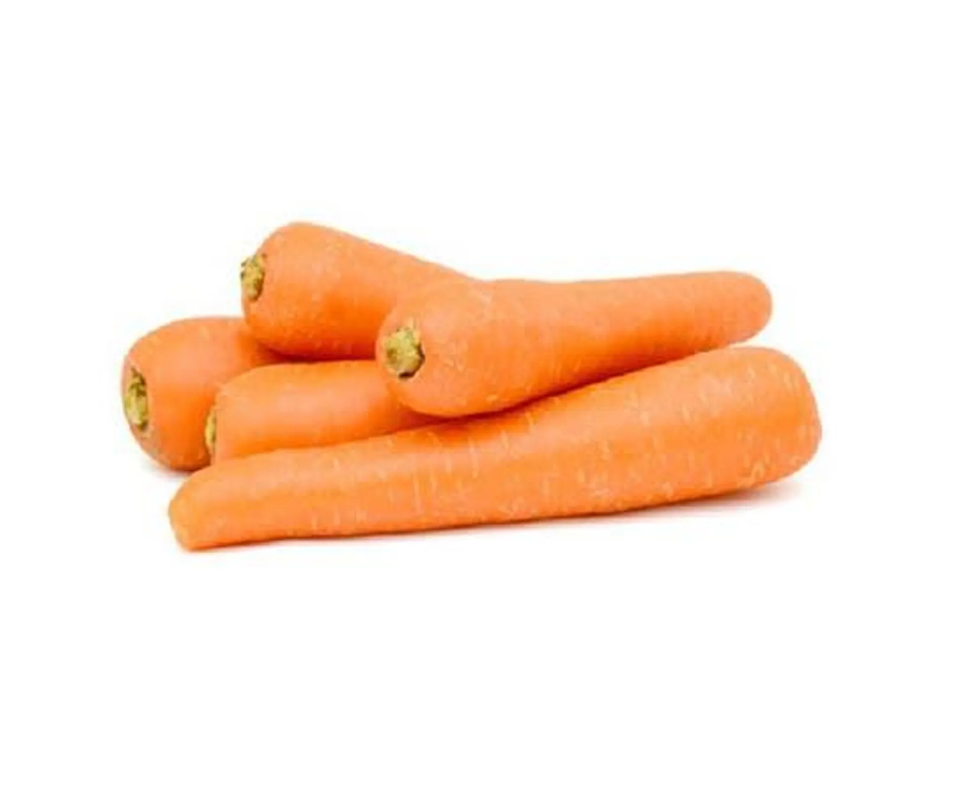 Carrot Loose, Australia