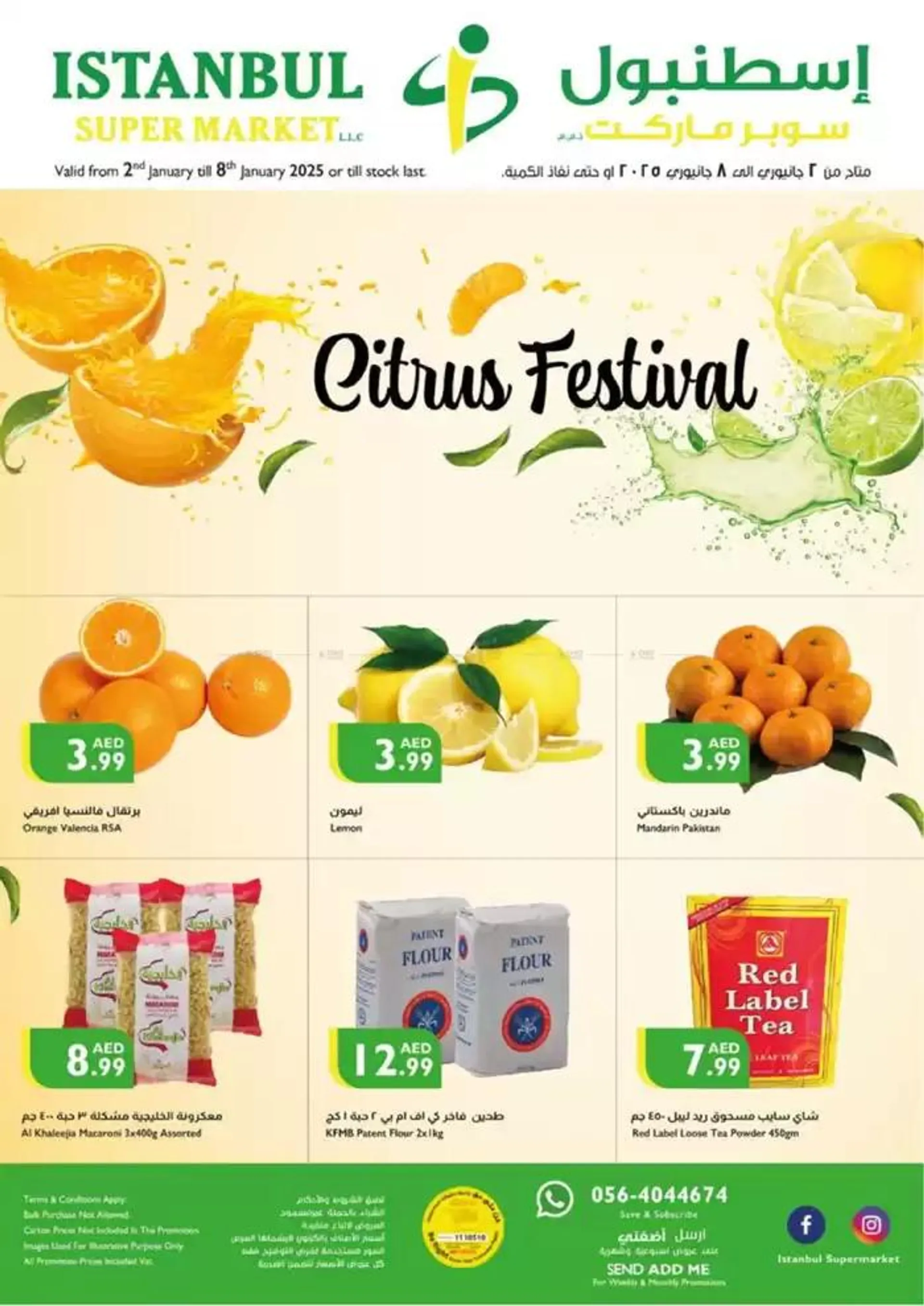 Citrus Festival - 1