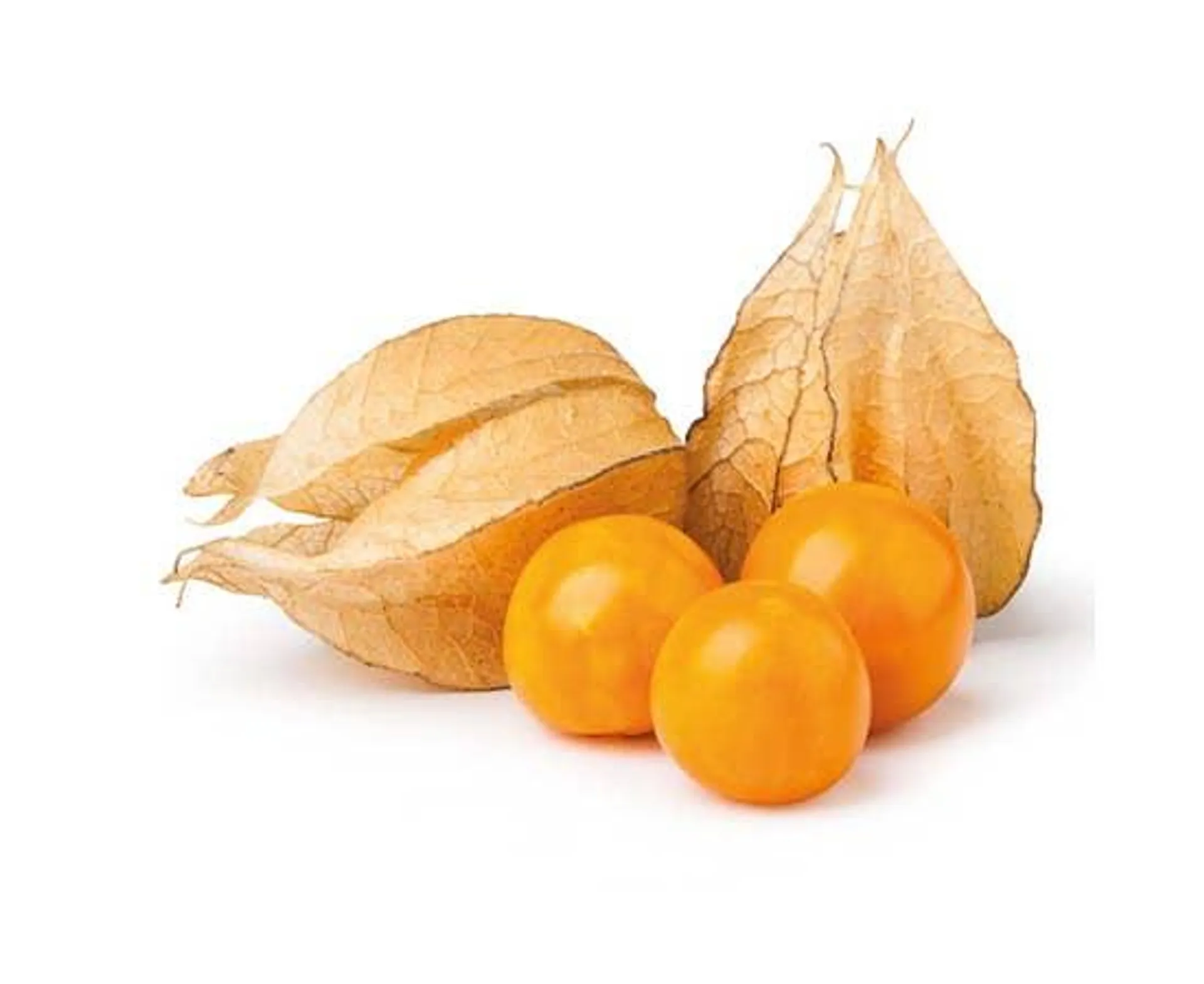 Physalis (Groundcherry) Colombia