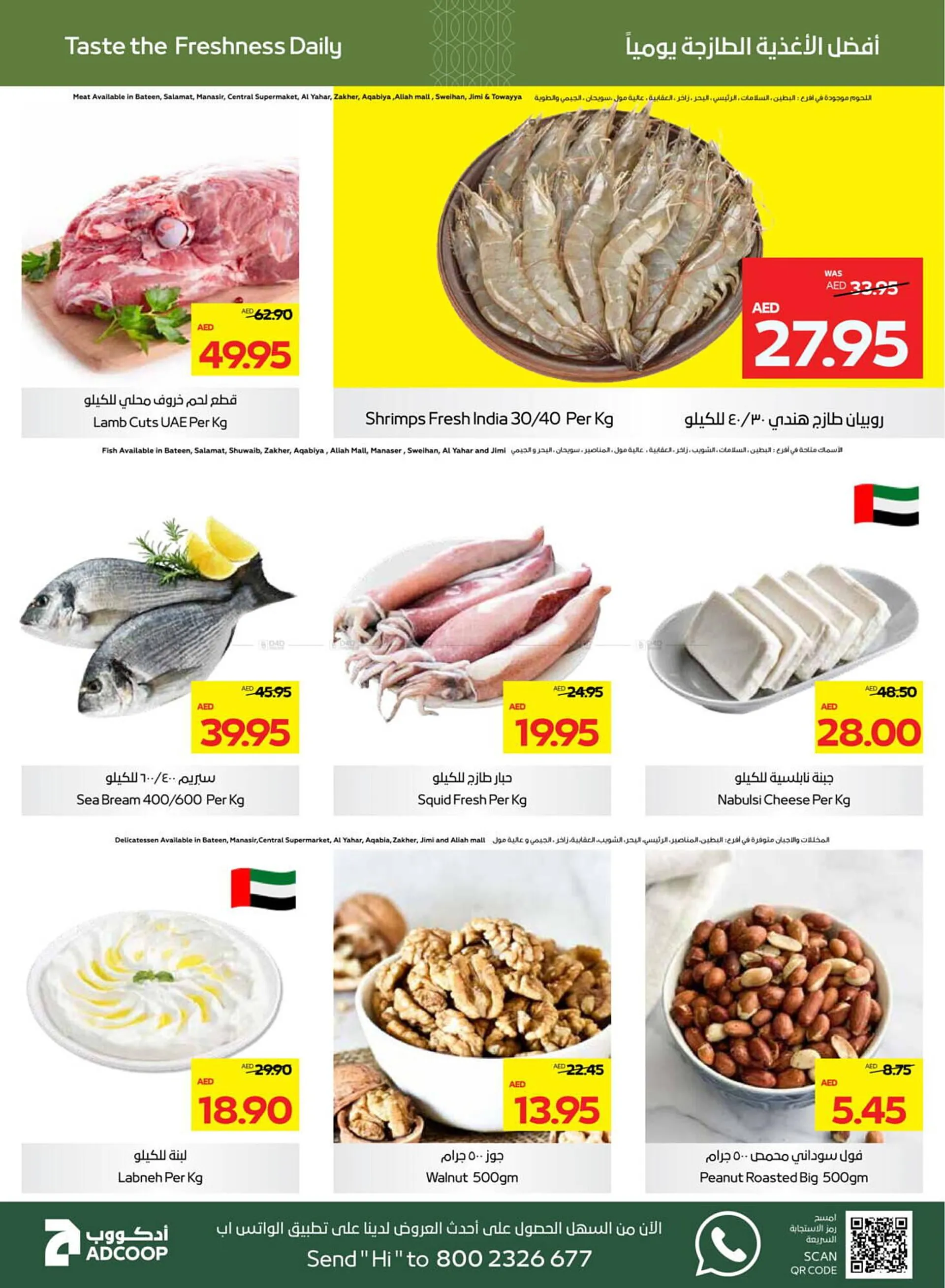 Al Ain Co-op catalogue from 28 November to 15 December 2024 - Offers page 3