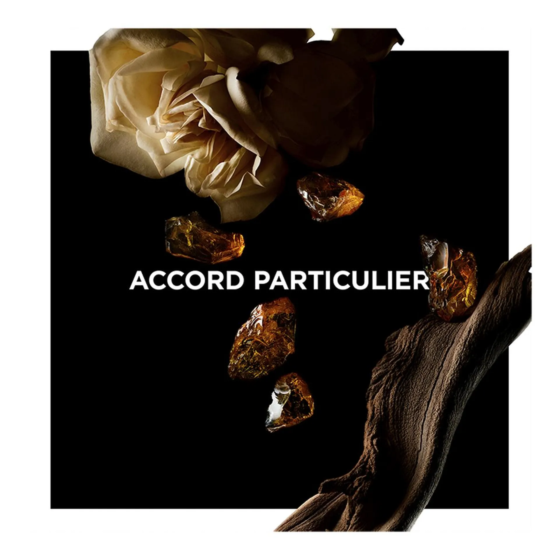 ACCORD PARTICULIER