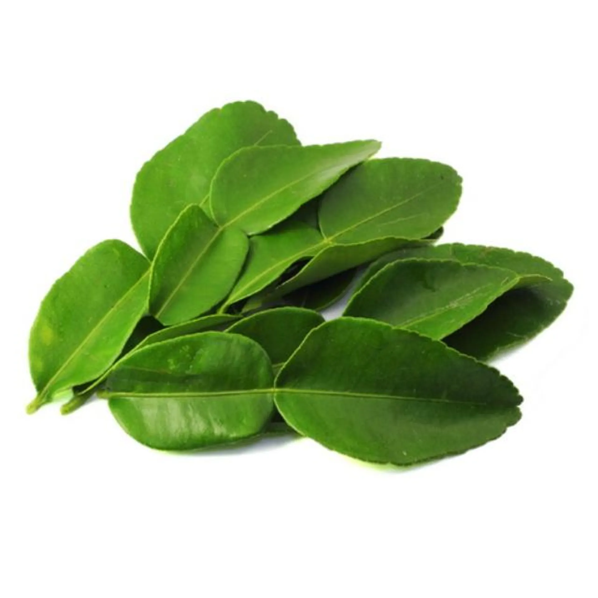 Lime Leaves