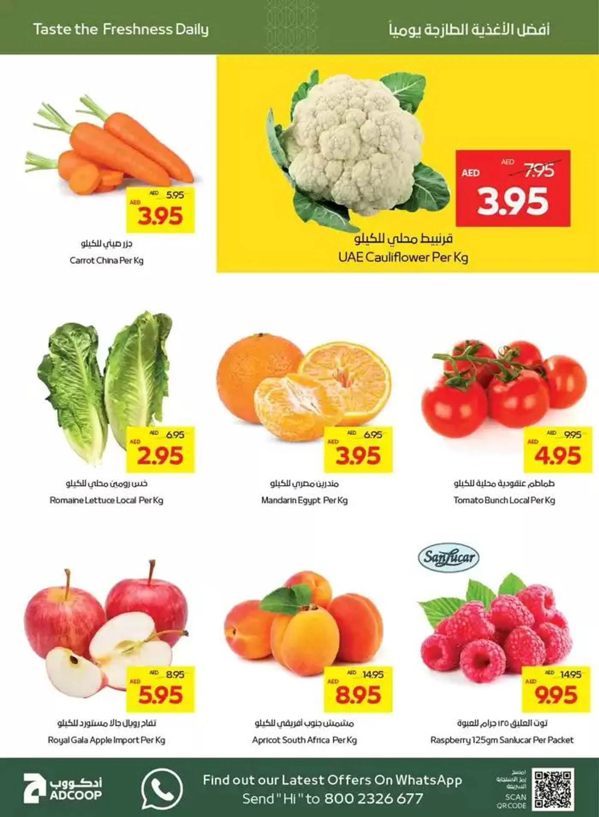 Abudhabi Coop promotion from 31 January to 14 February 2025 - Offers page 2