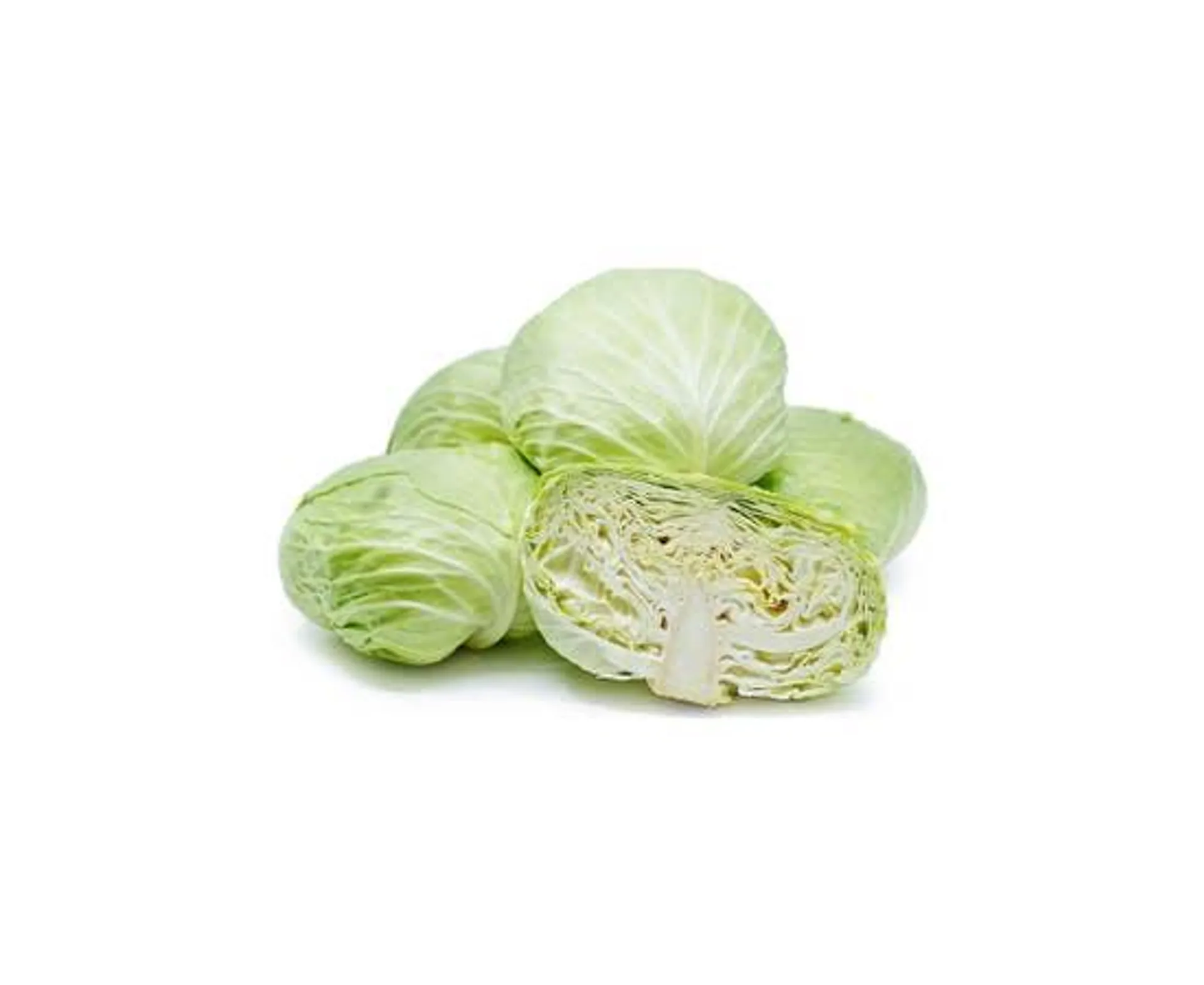 Flat Cabbage - Jordan