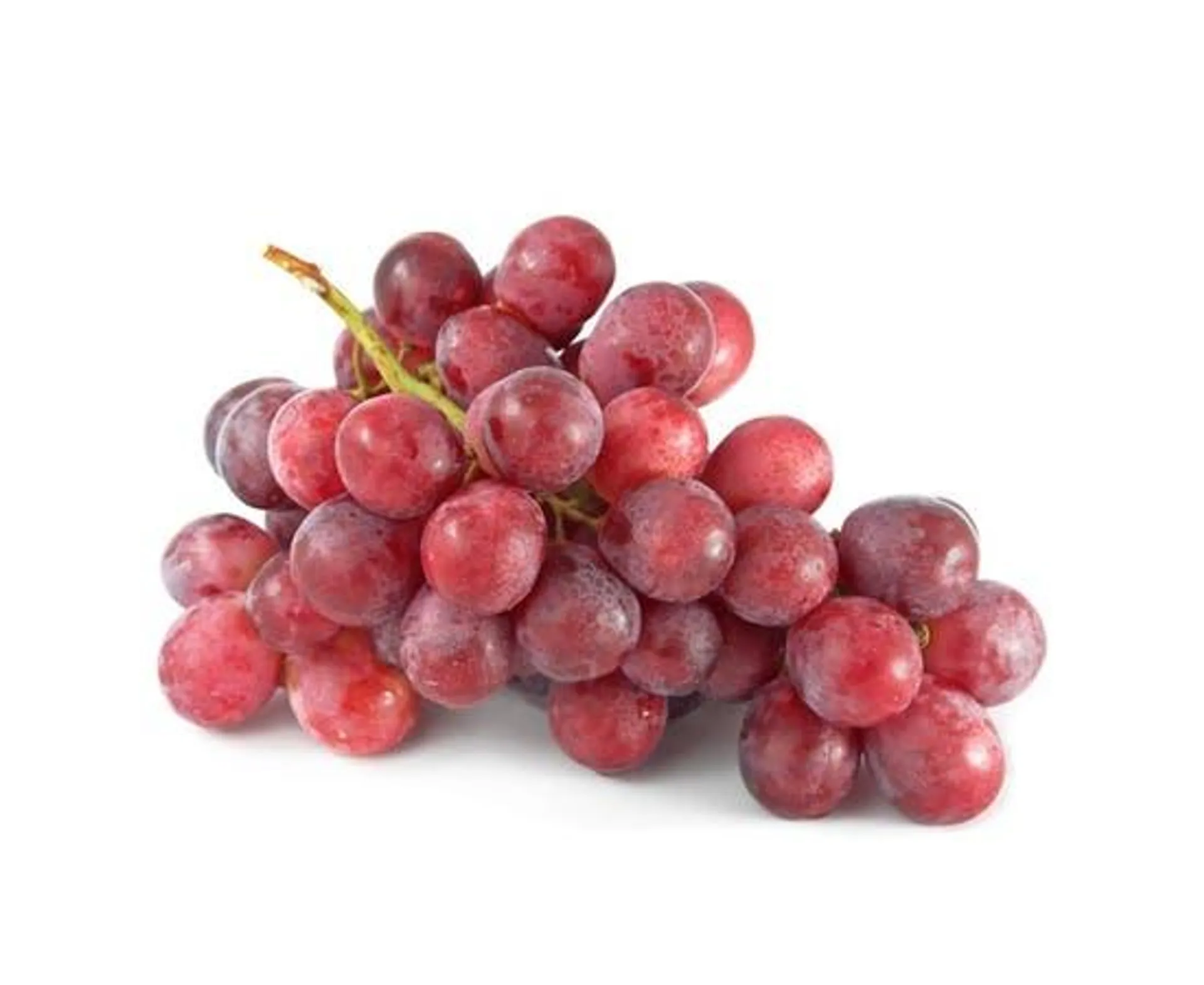 Red Seedless Grape - South Africa