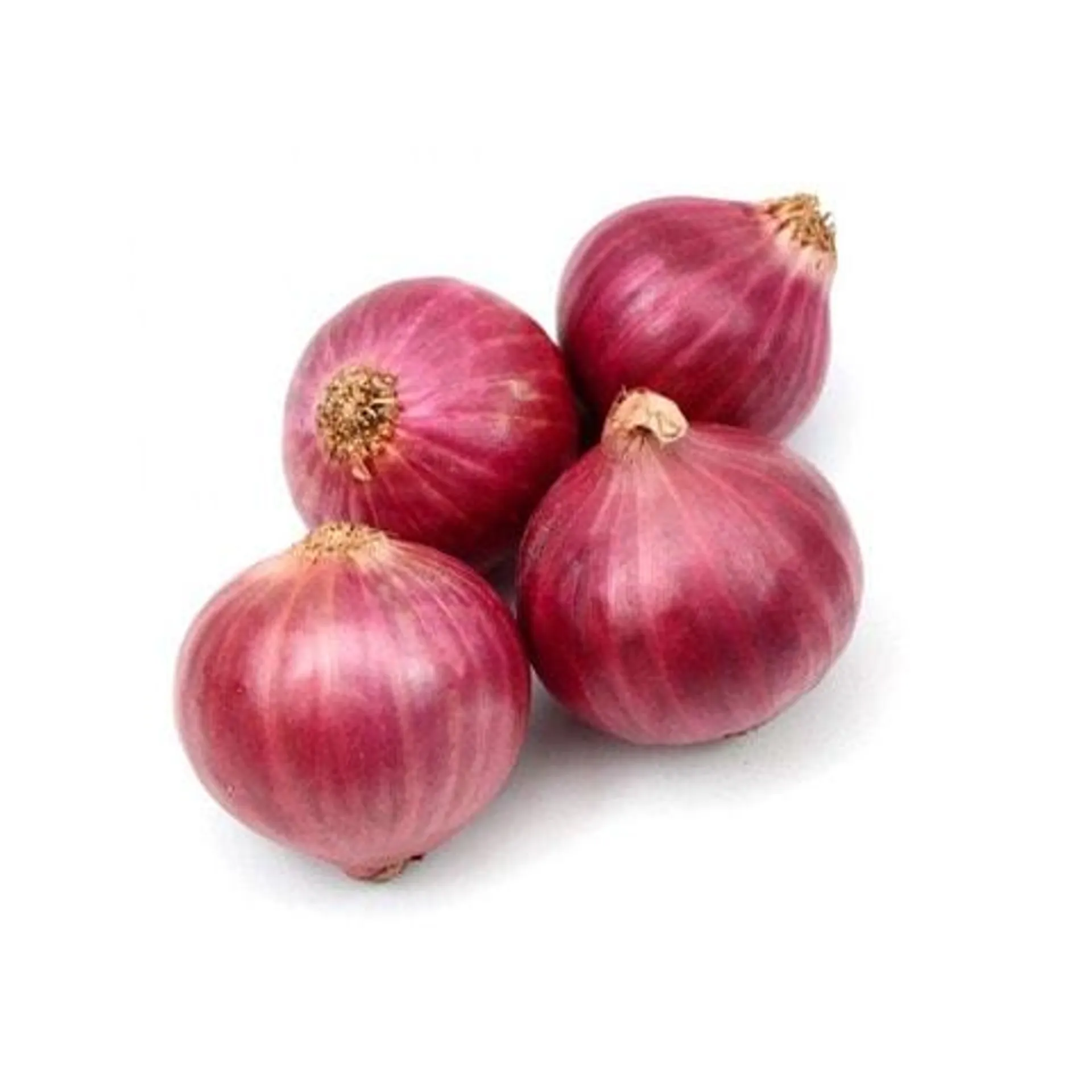 Red Onion