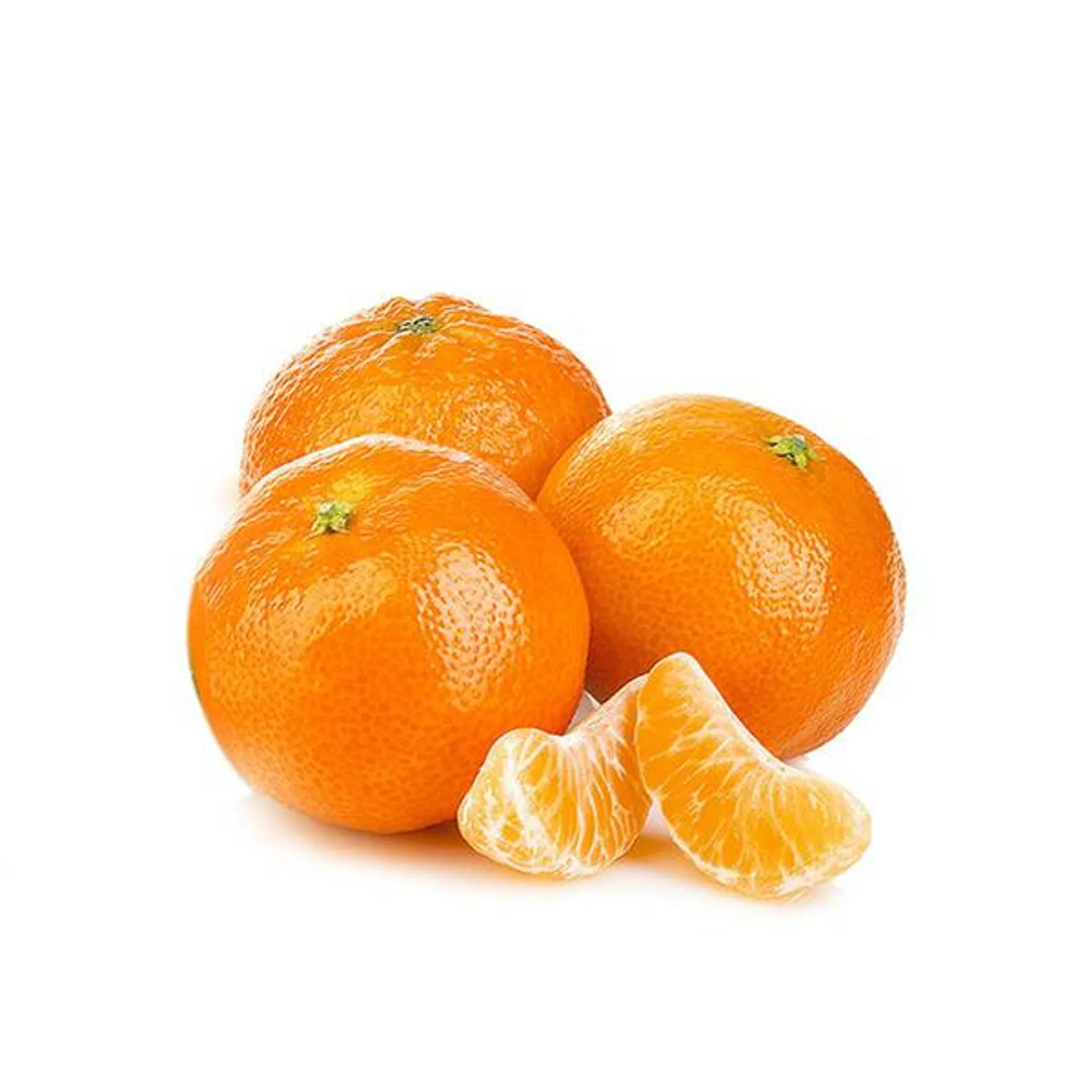 Navel Orange Large USA