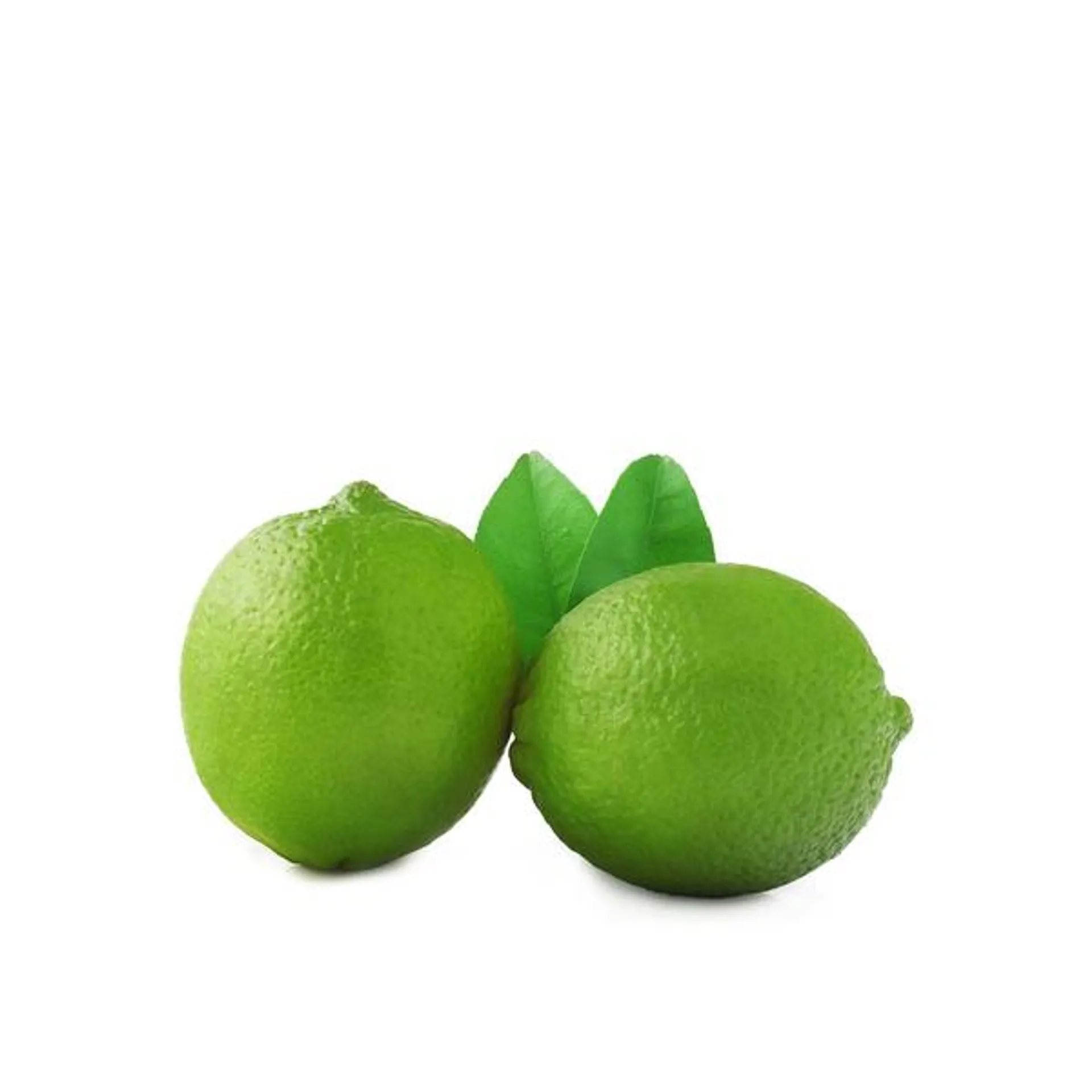 Lime Seedless USA