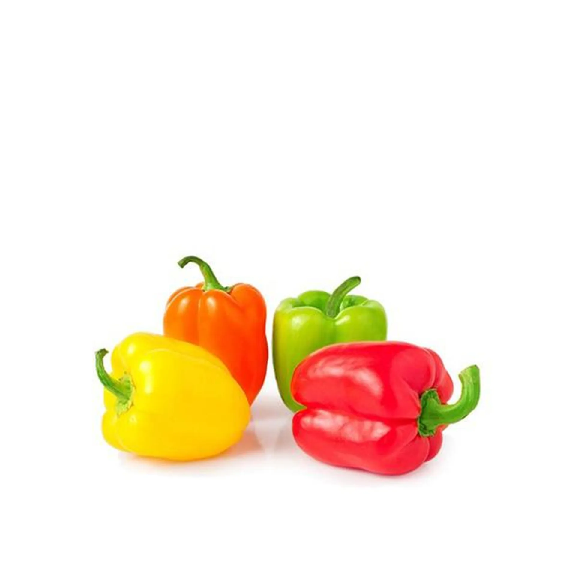 Capsicum Mix Holland
