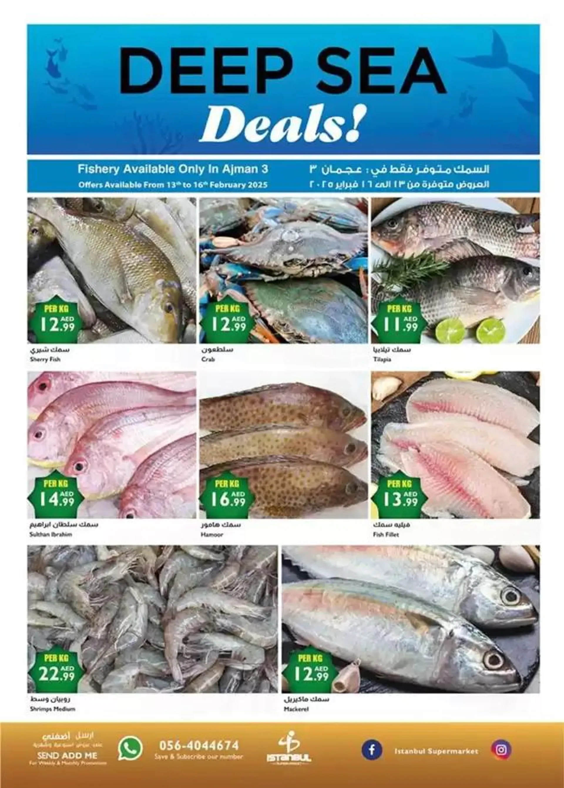 Istanbul Supermarket promotion from 13 February to 27 February 2025 - Offers page 2