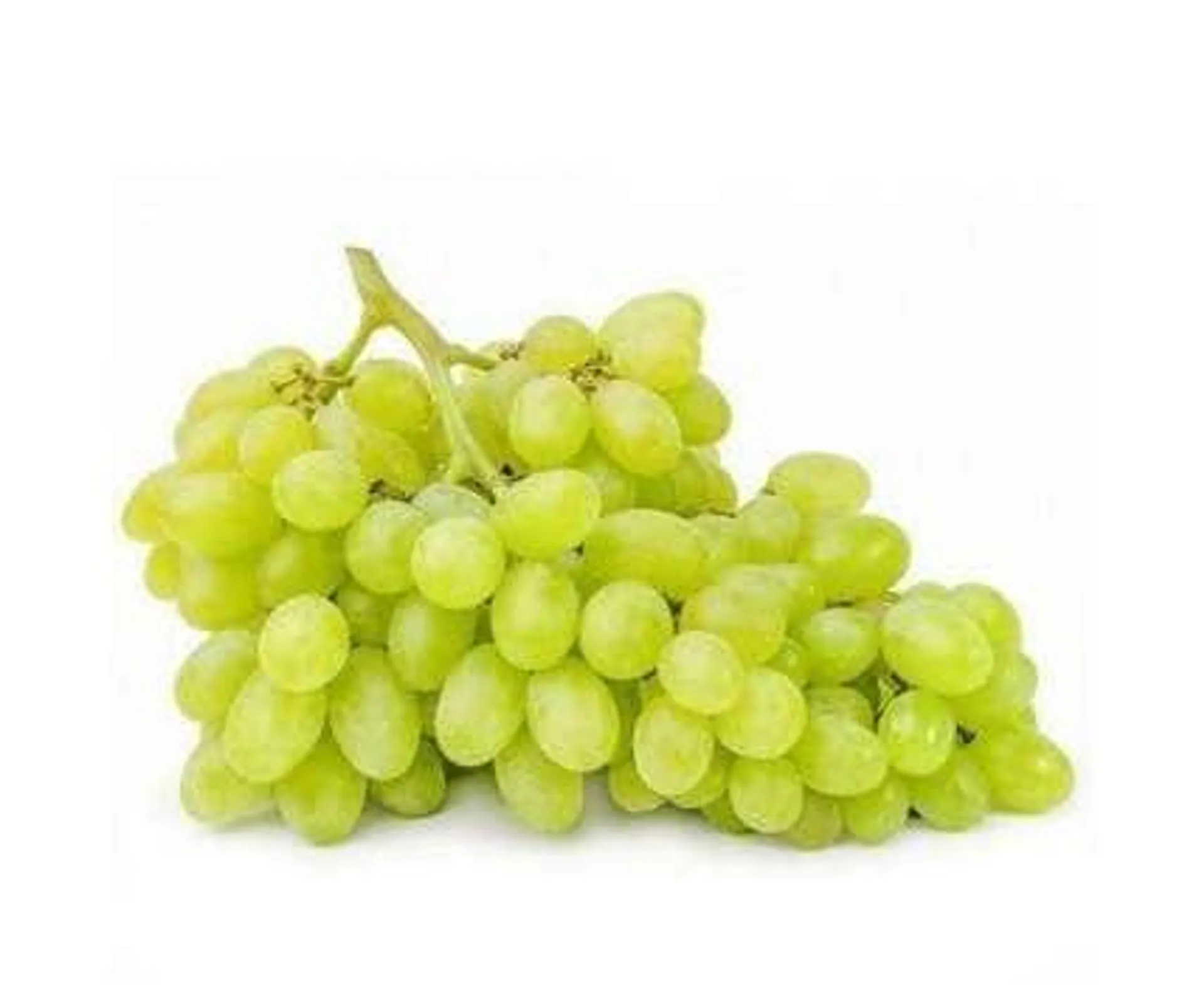 White Seedless Grapes South Africa - 500g