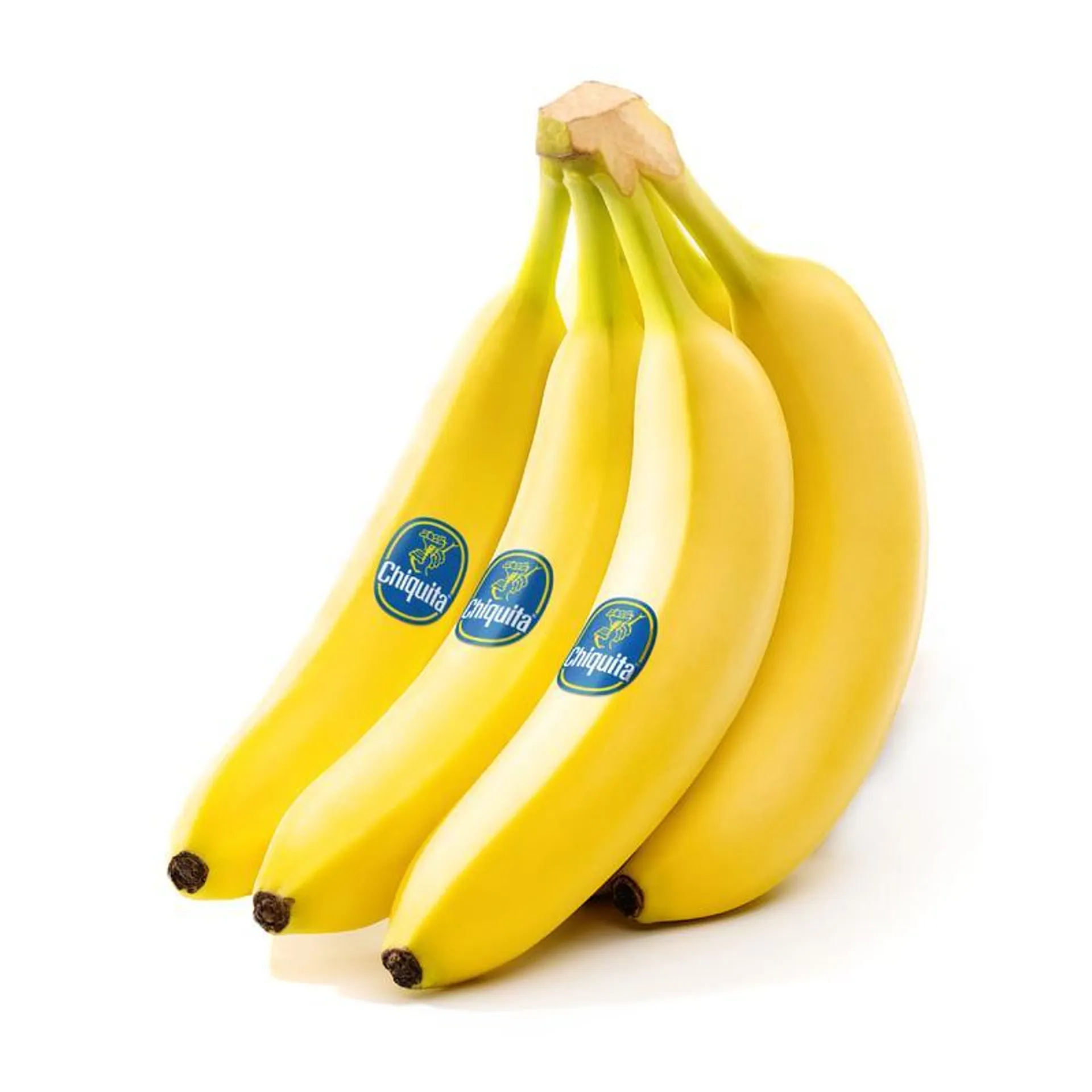 Chiquita Banana