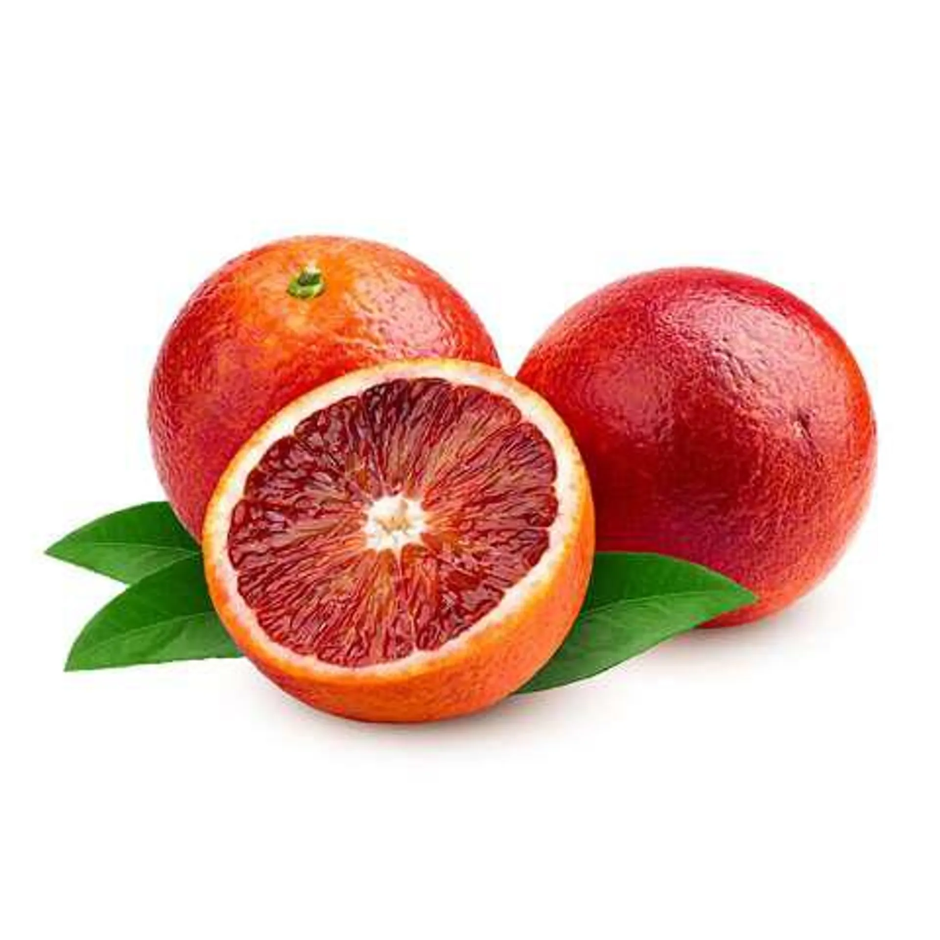 ORANGE RED PP