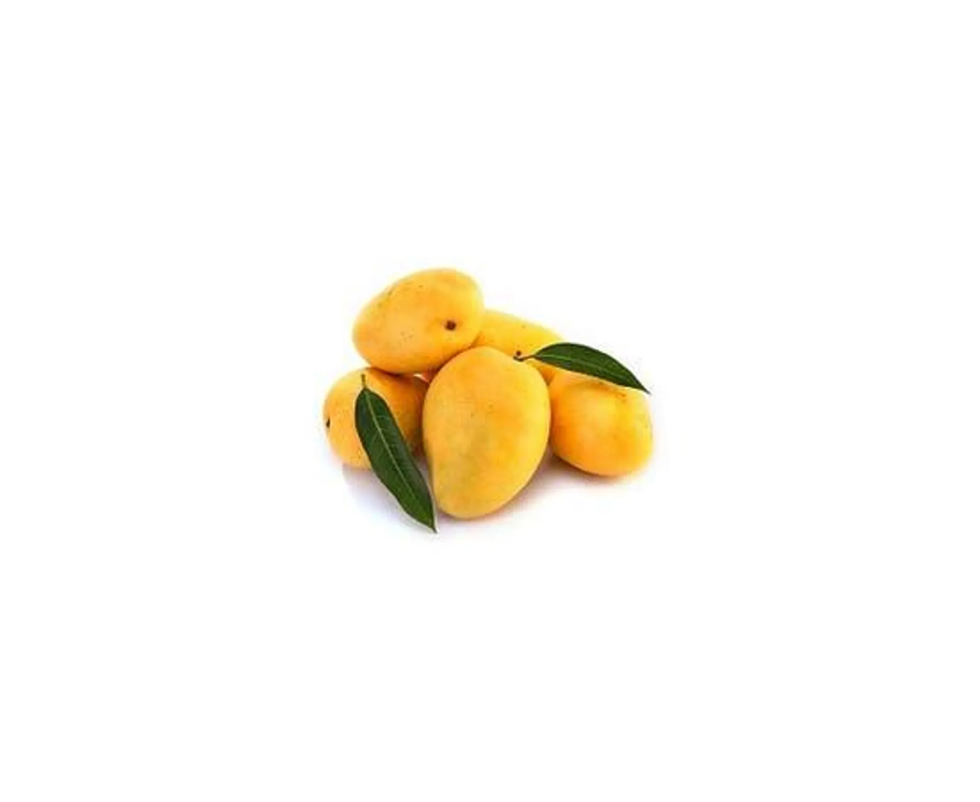 Mango Chonsa - Pakistan