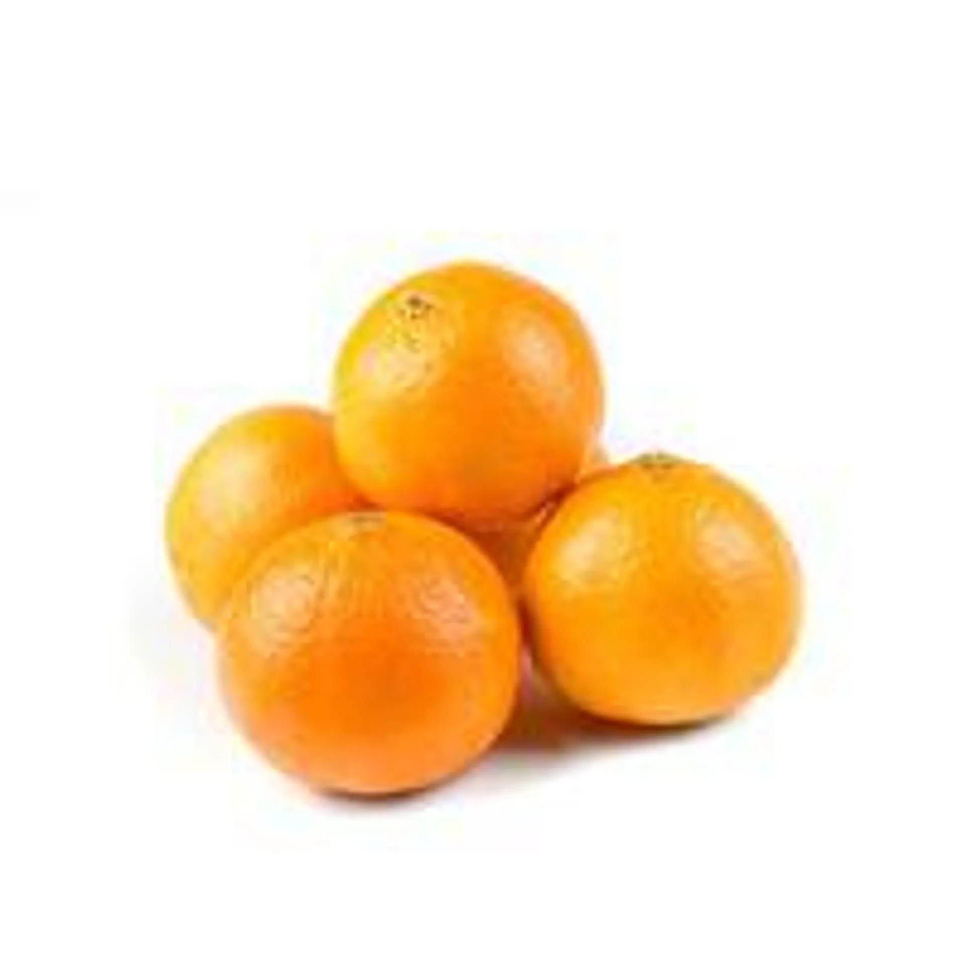 Navel orange Spain