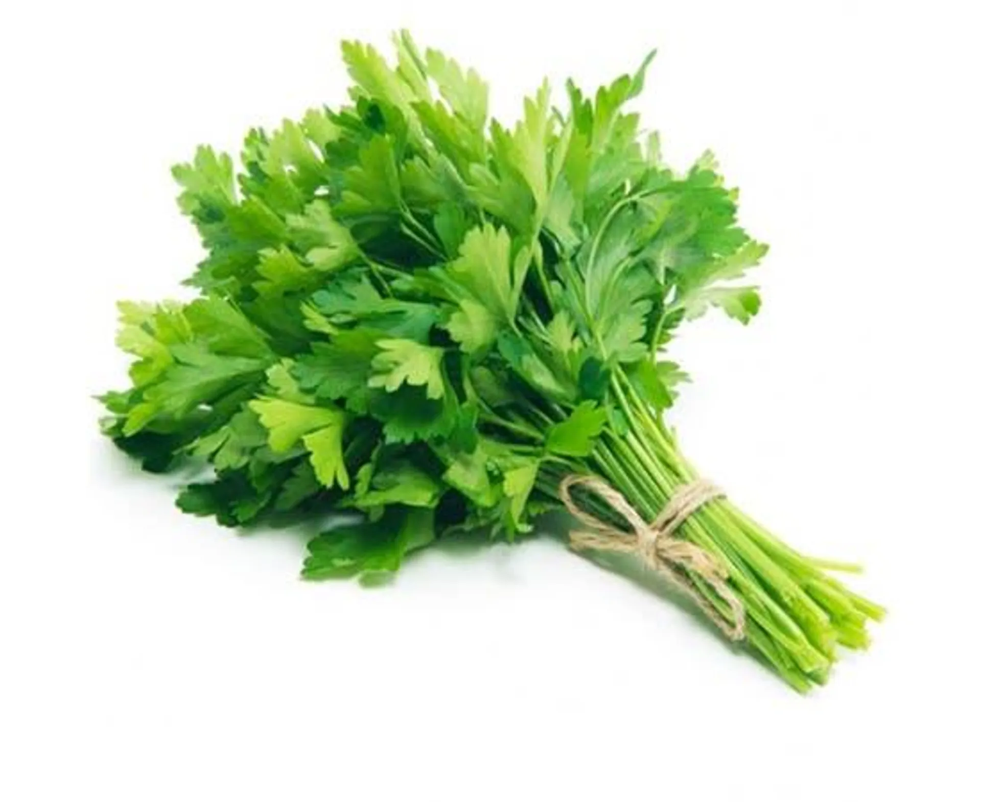 Parsley - UAE - Per Bundle