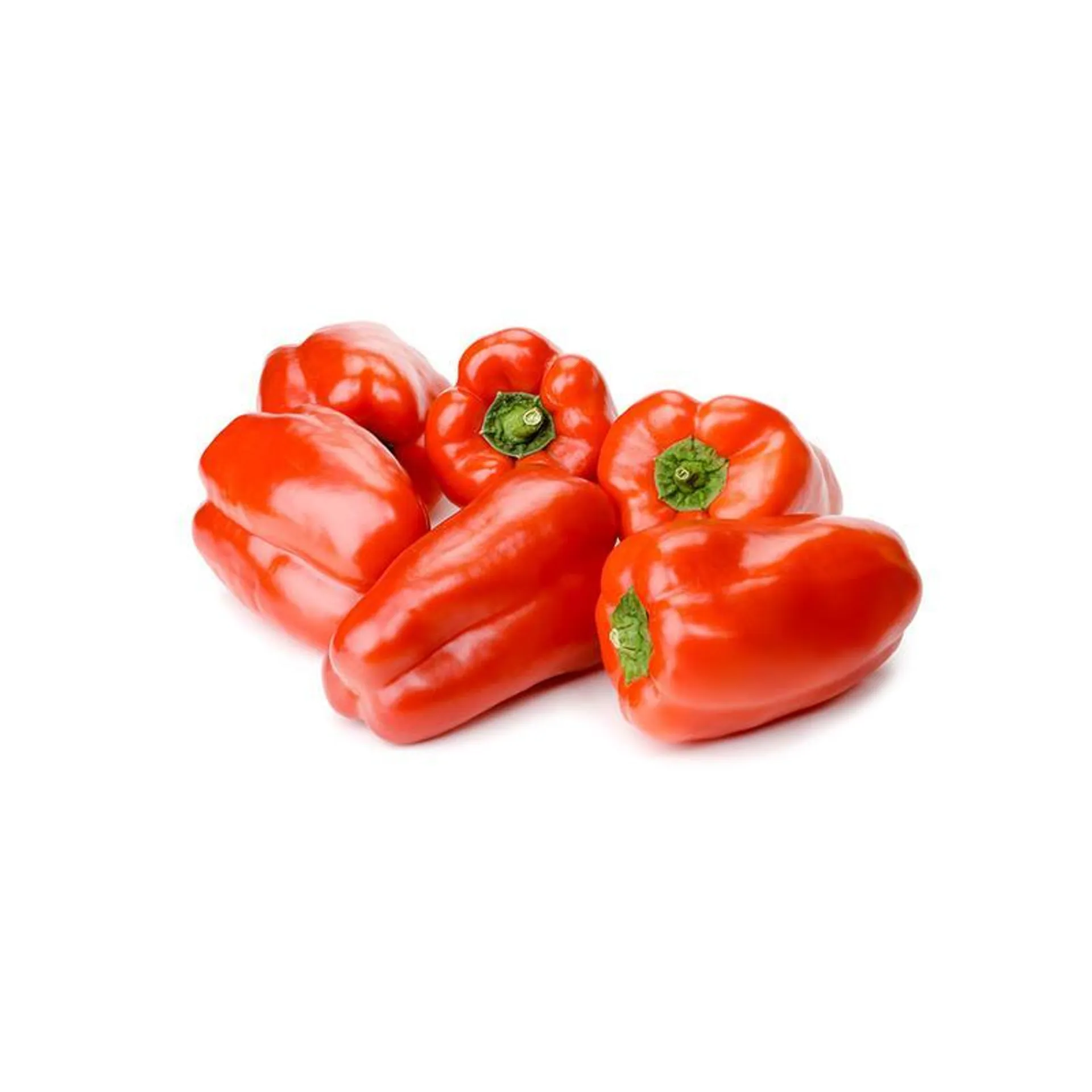 Capsicum Mini Red