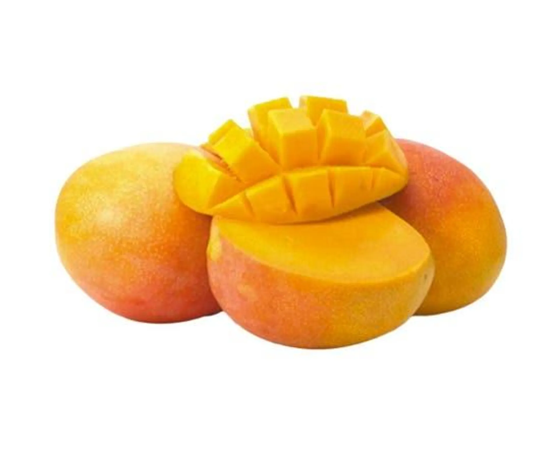 Mango R2E2 By Air - Egypt