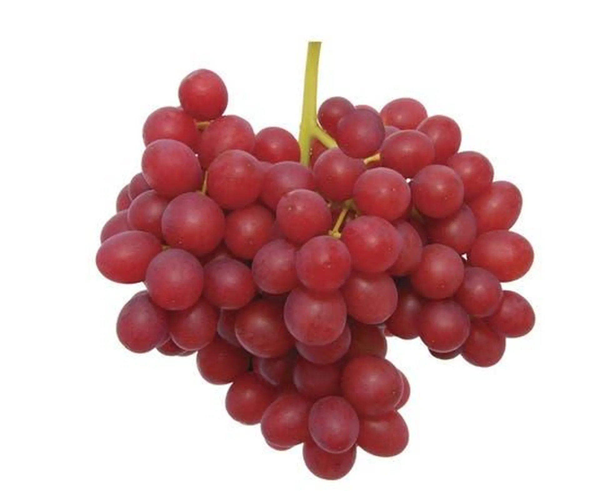 Red Globe Grape Egypt - 500g