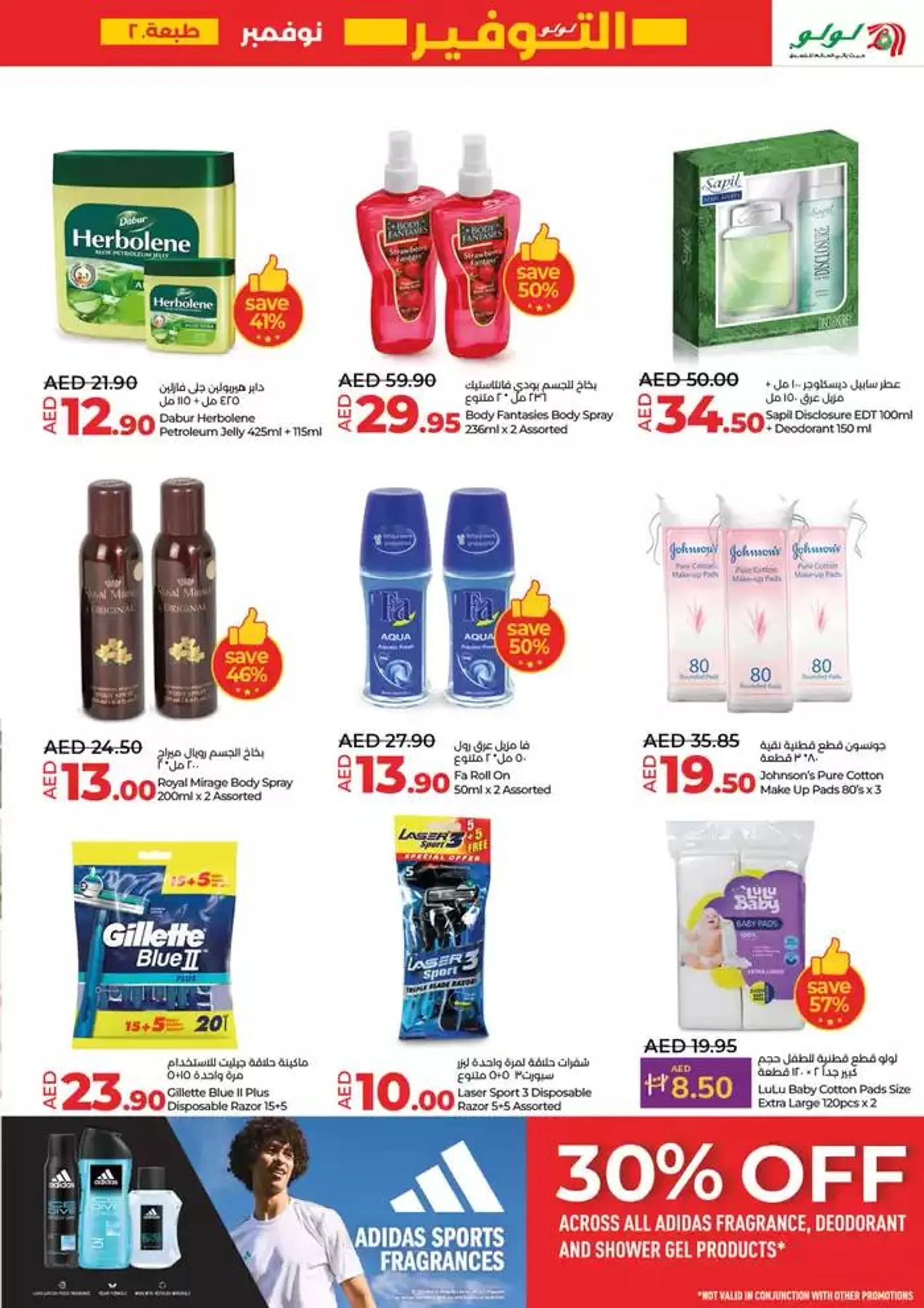 Lulu Saver DXB from 22 November to 6 December 2024 - Offers page 21