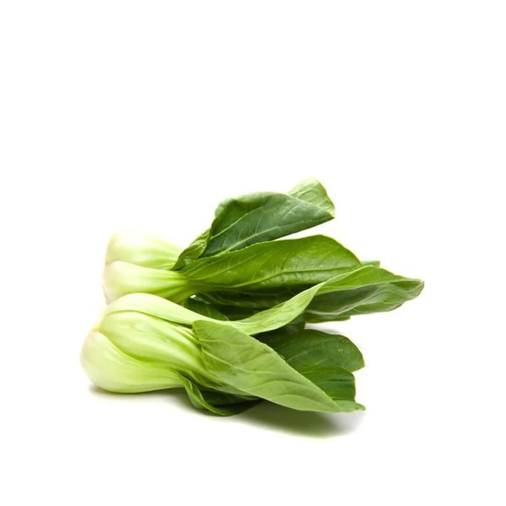 Pak choi bunch Oman