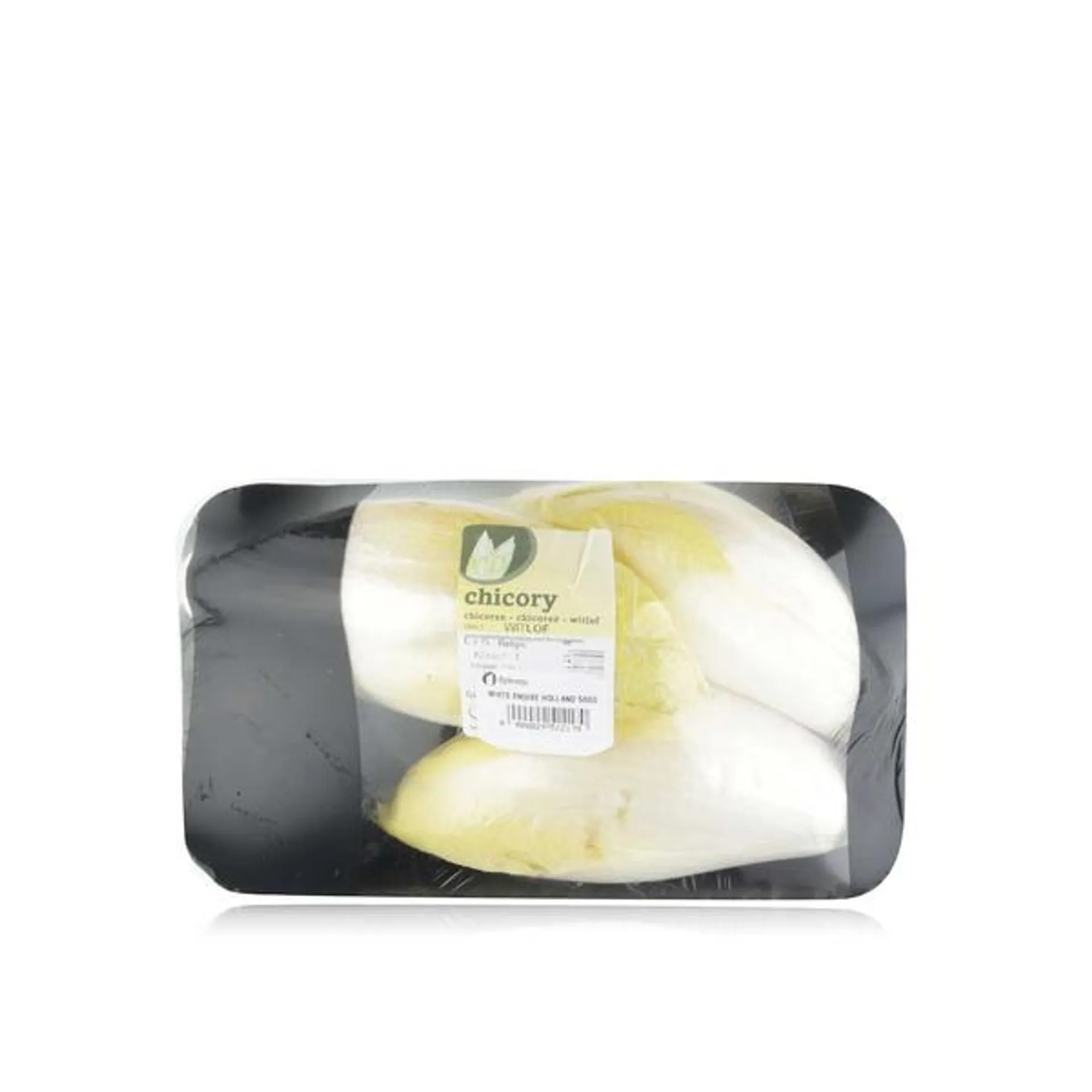 White endive Holland 500g