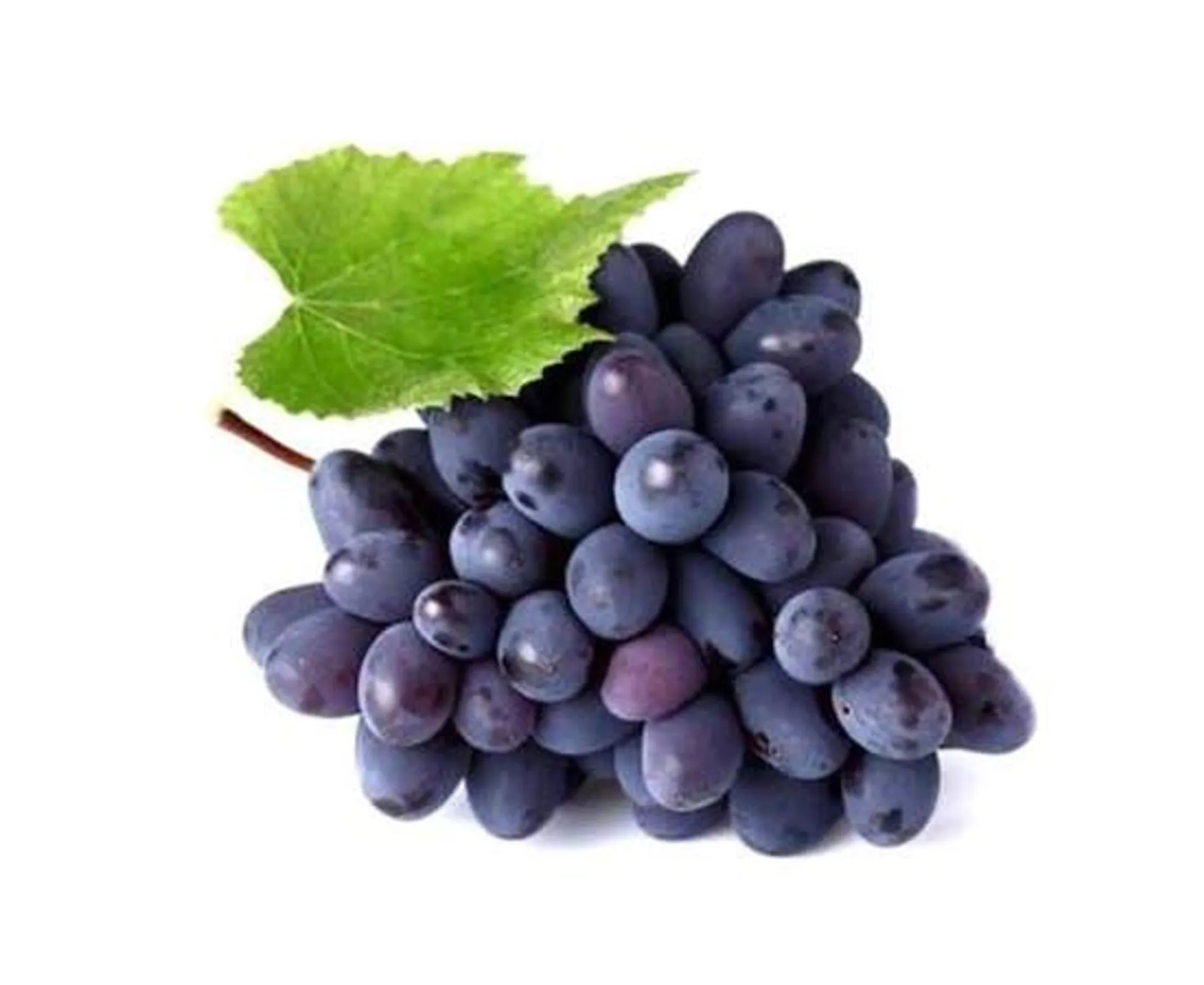 Black Grape Egypt