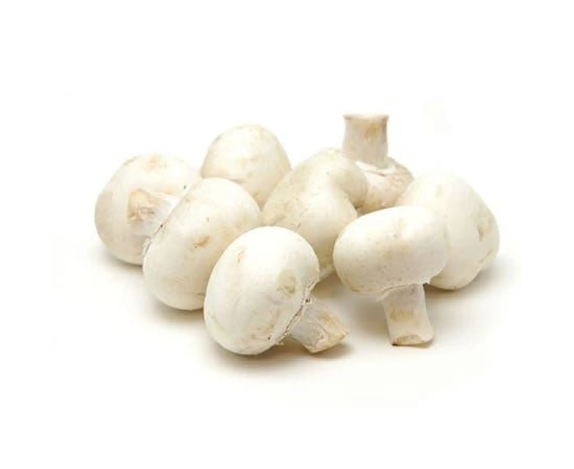 Mushroom Iran - 250g