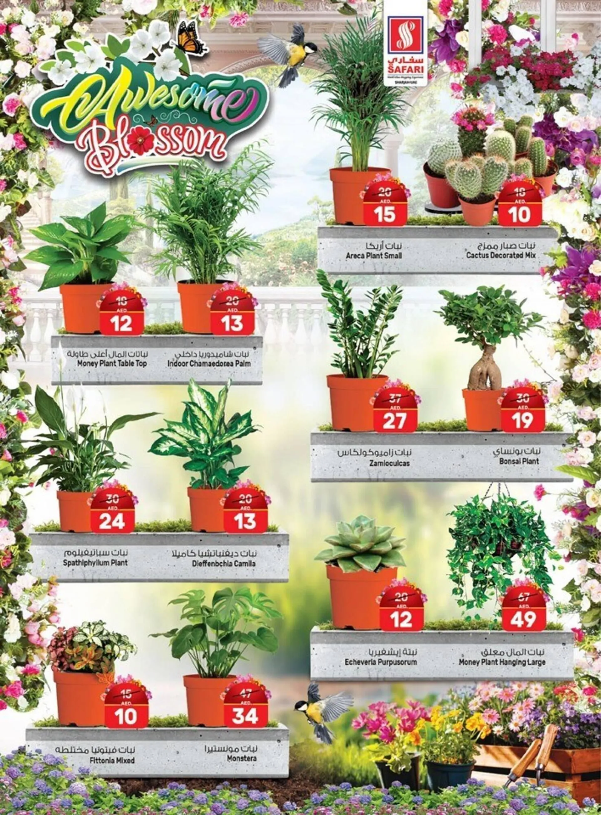 Safari Hypermarket catalogue from 18 January to 22 January 2024 - Offers page 2