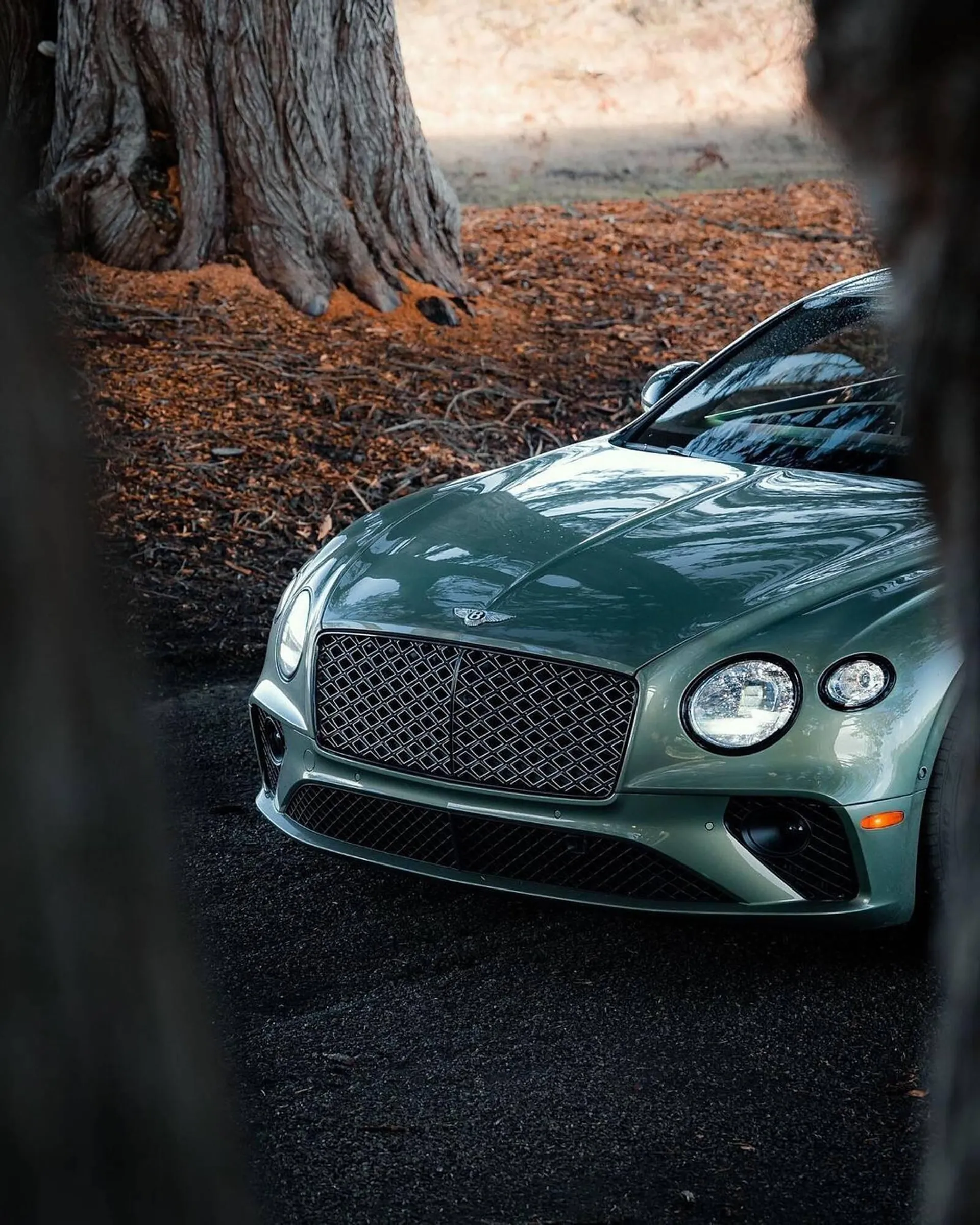 Bentley catalogue from 21 October to 30 November 2024 - Offers page 2