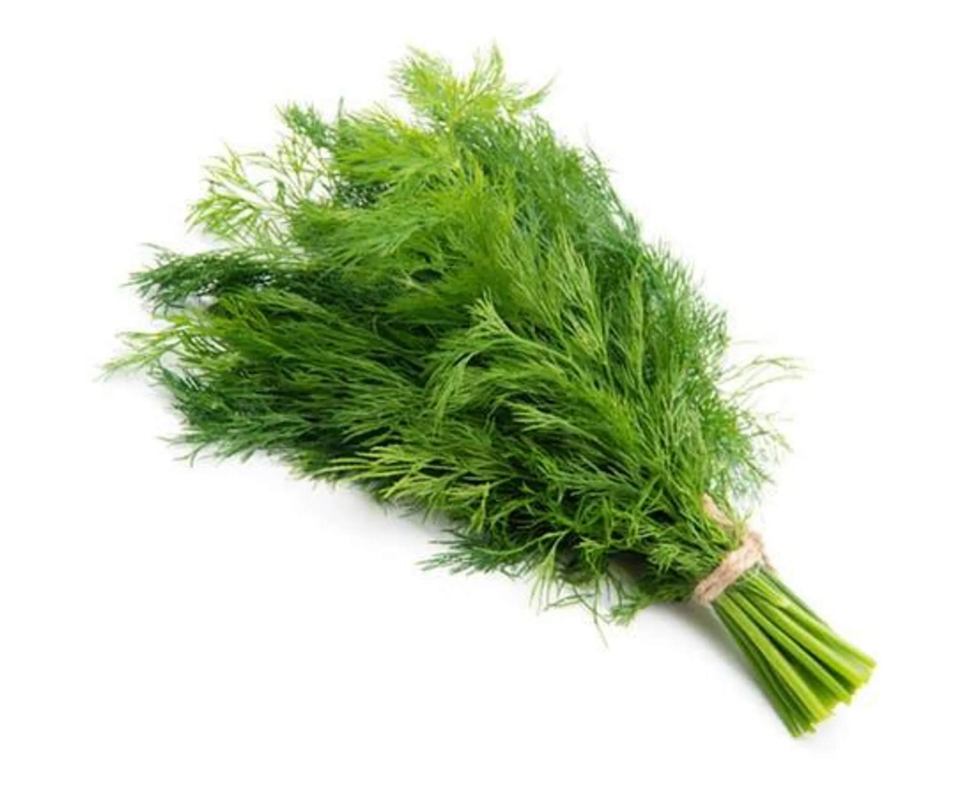 Dill Premium - UAE