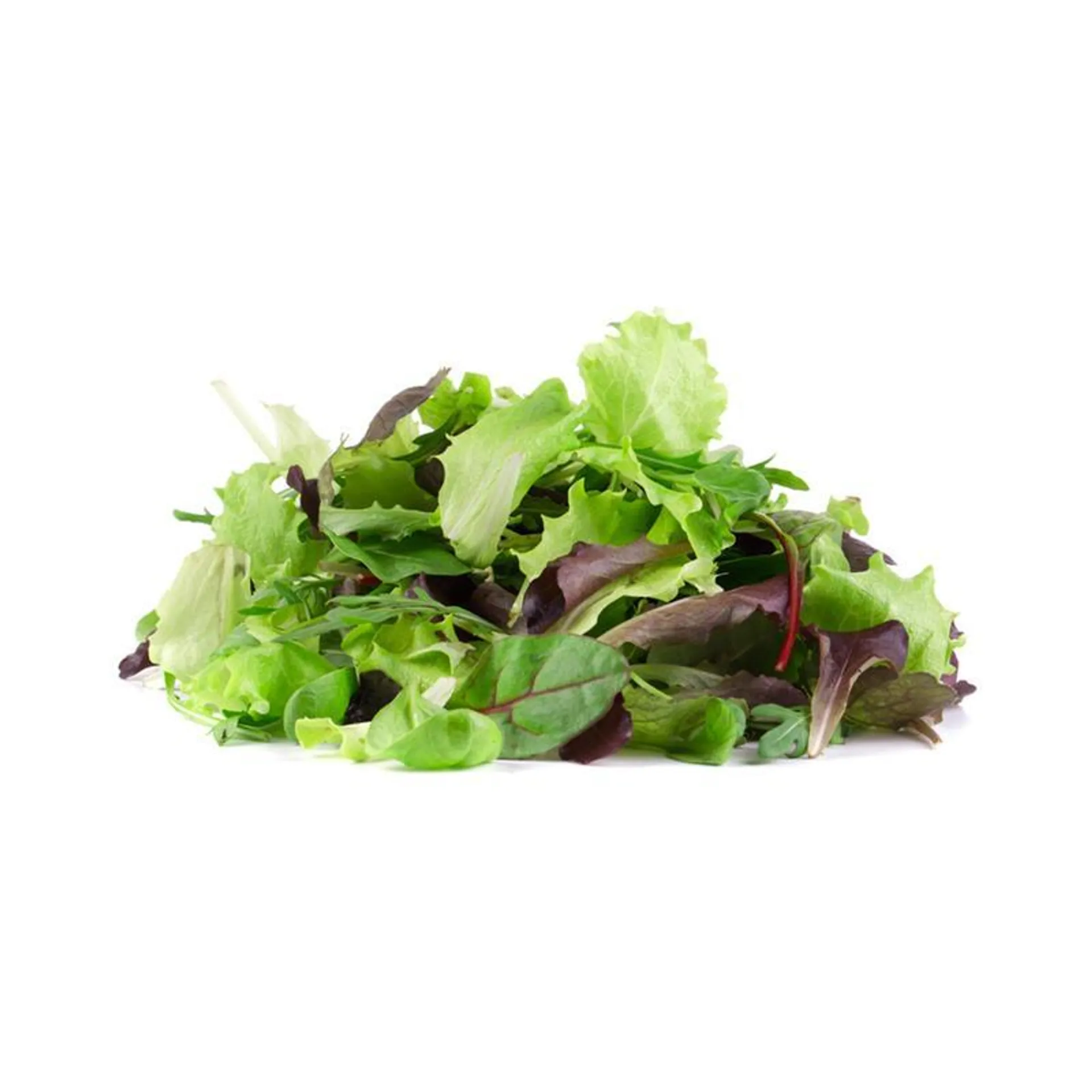 Lettuce Mesculin