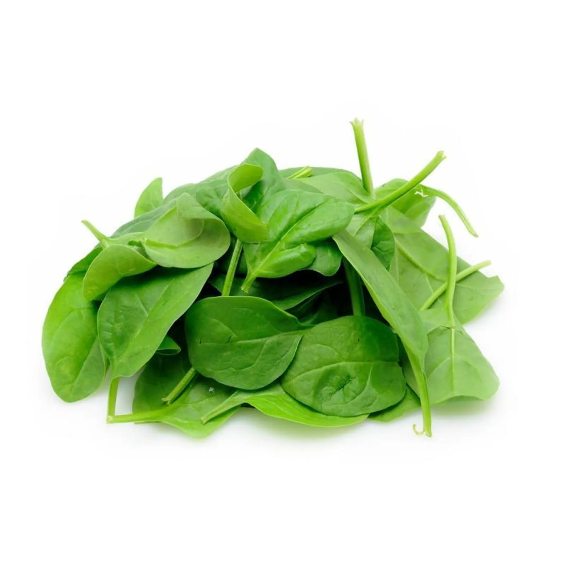 Spinach Leaves