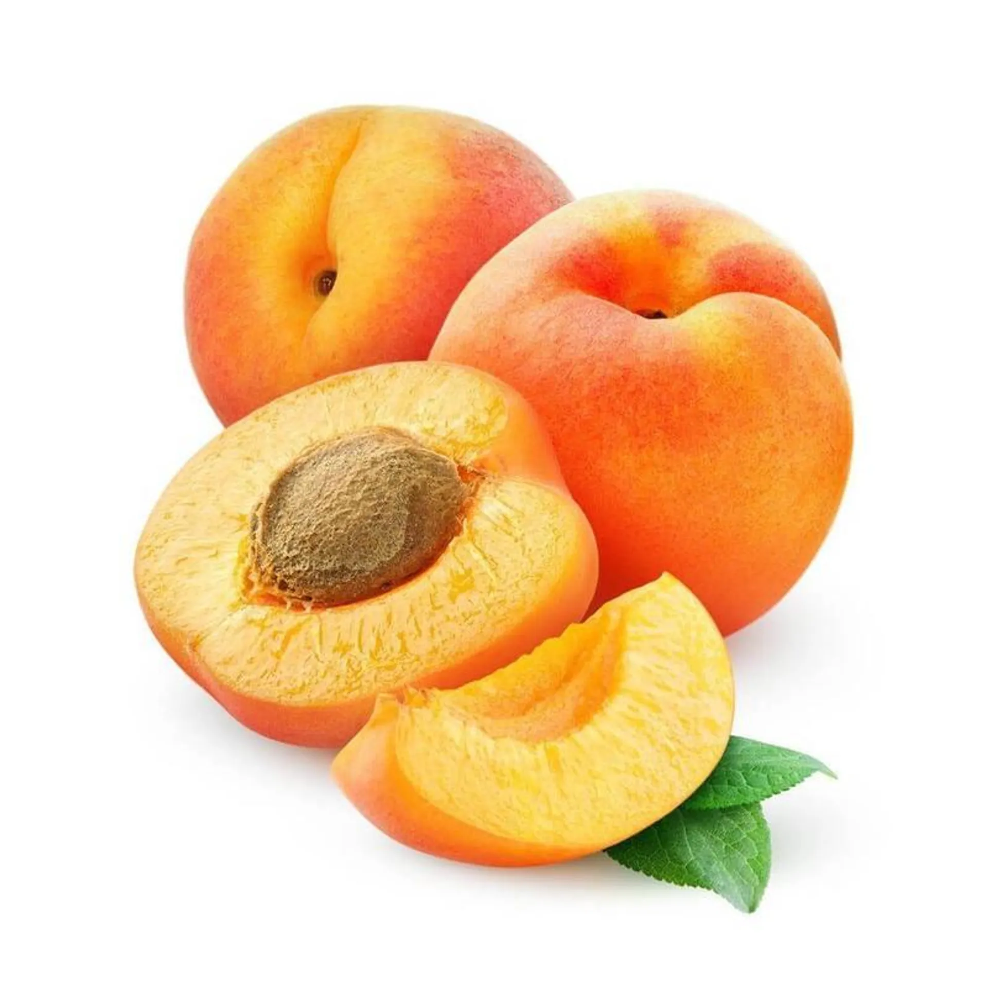 Apricot