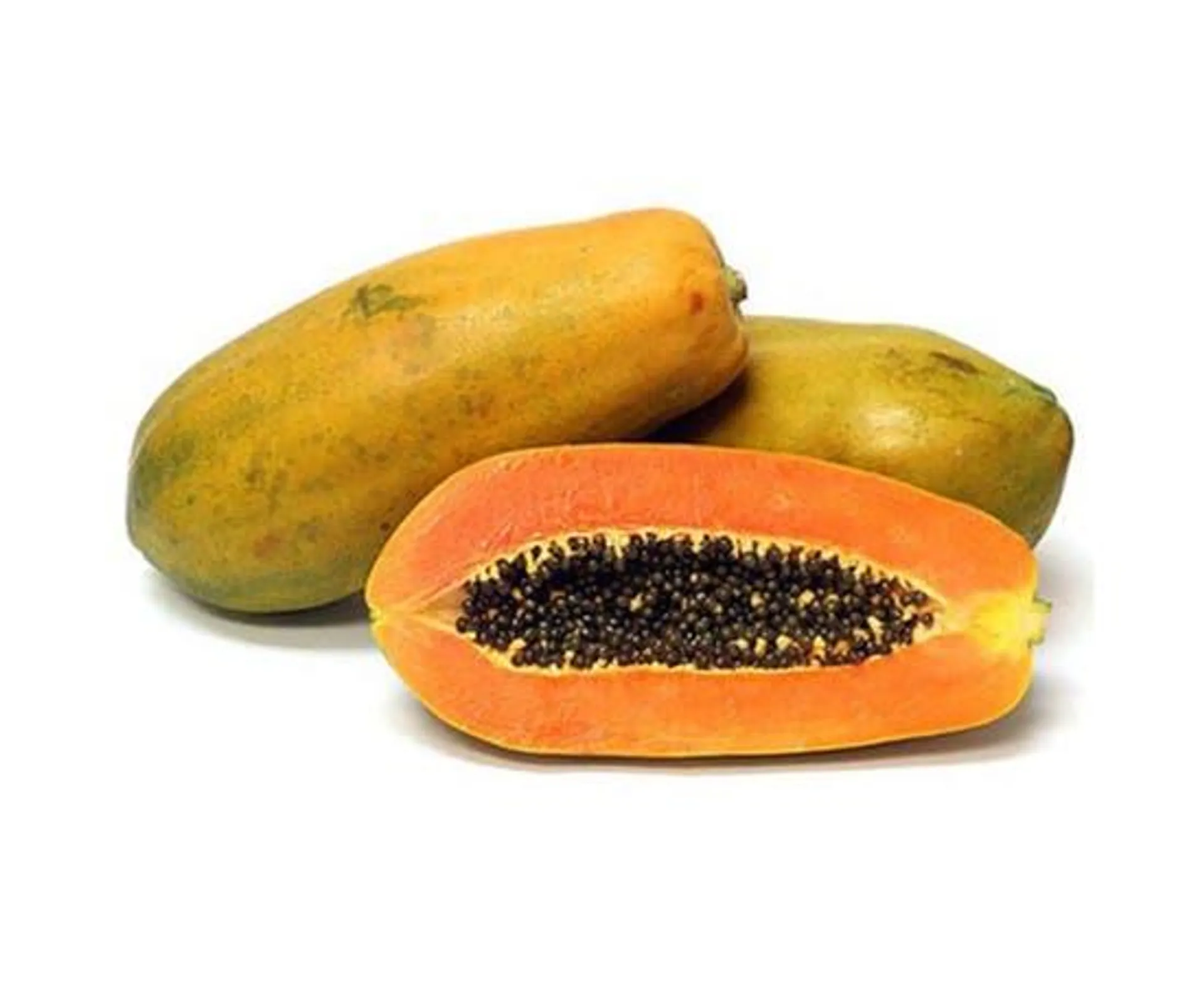 Holland Papaya - Thailand