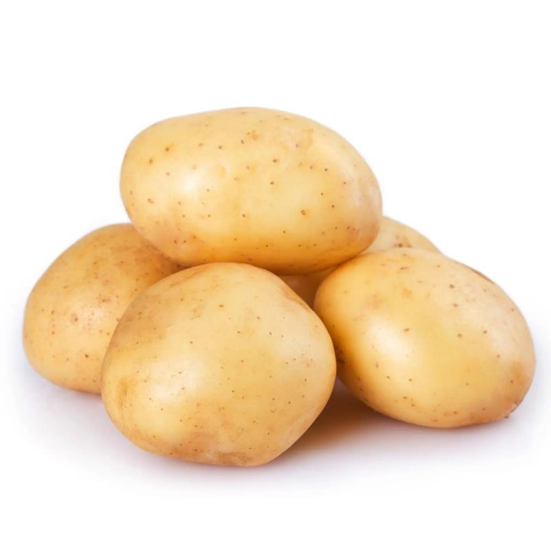 Potato