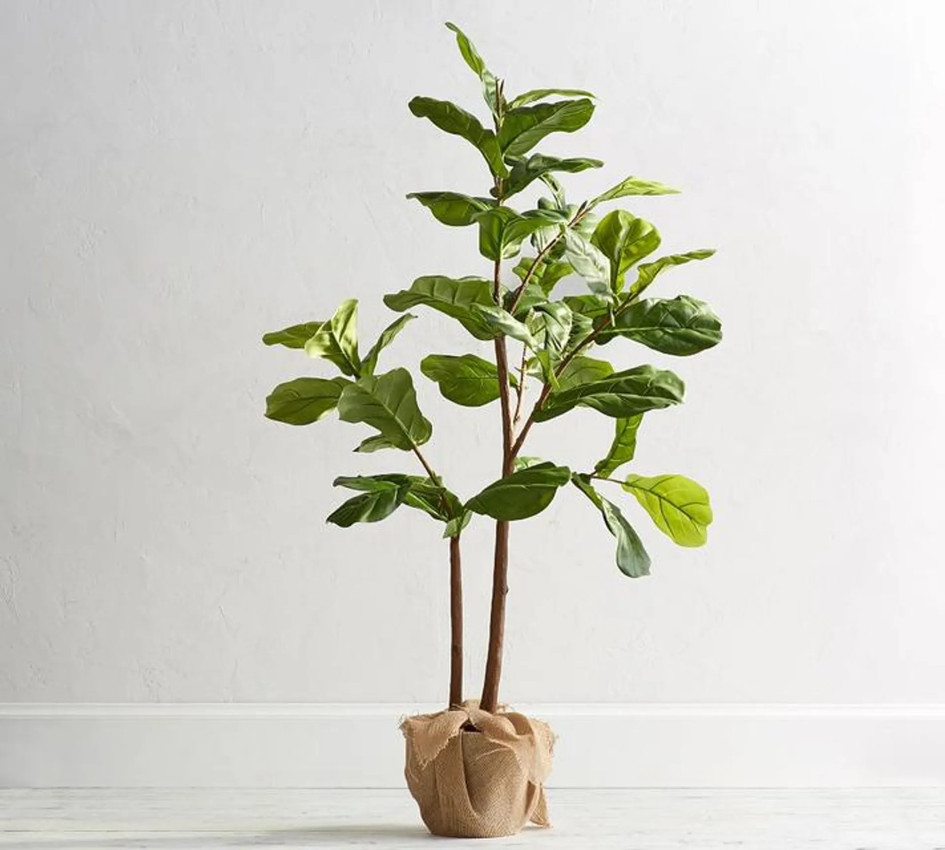 Faux Potted Fiddle Leaf Trees