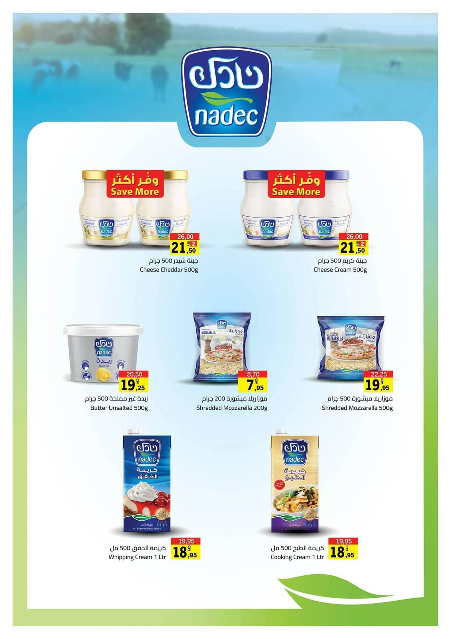 Sharjah Co-op catalogue from 21 September to 1 October 2023 - Offers page 13